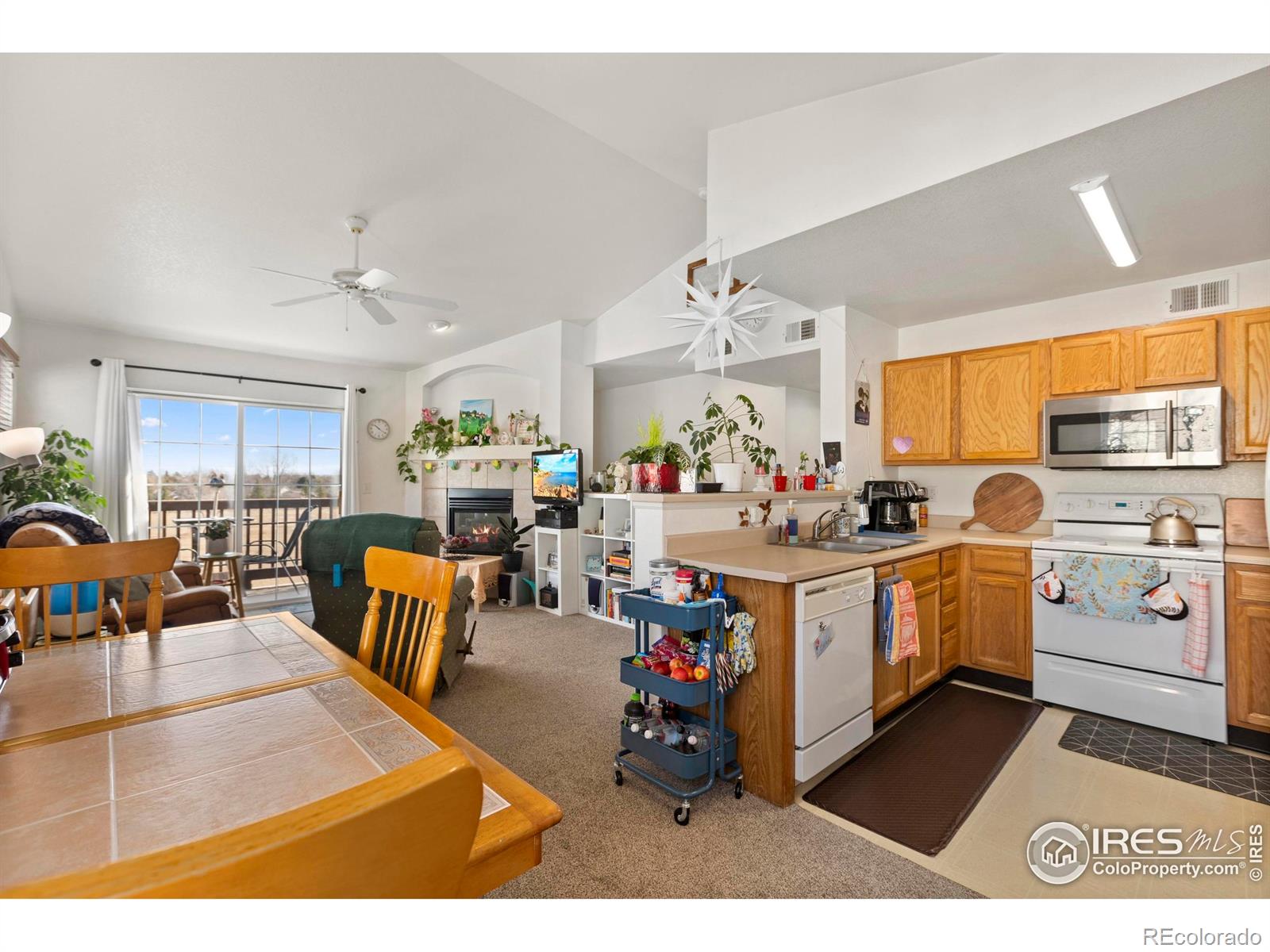 MLS Image #10 for 3002 w elizabeth street,fort collins, Colorado