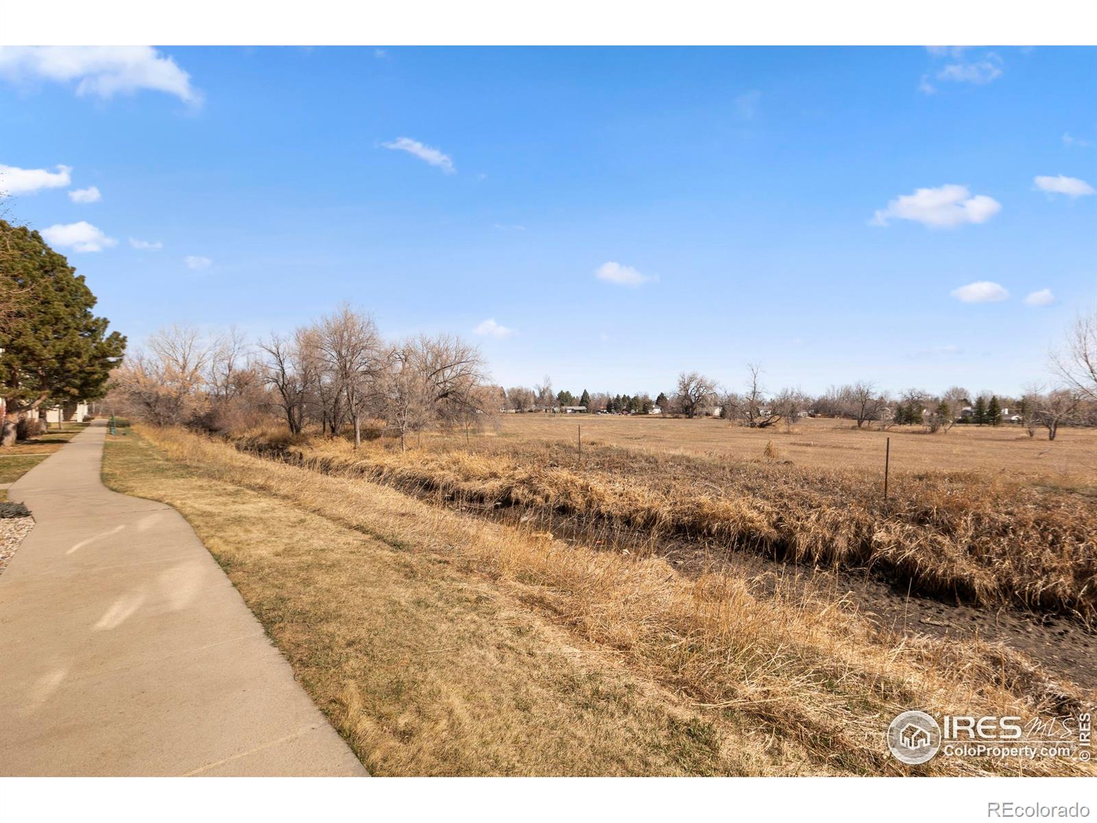 MLS Image #22 for 3002 w elizabeth street,fort collins, Colorado