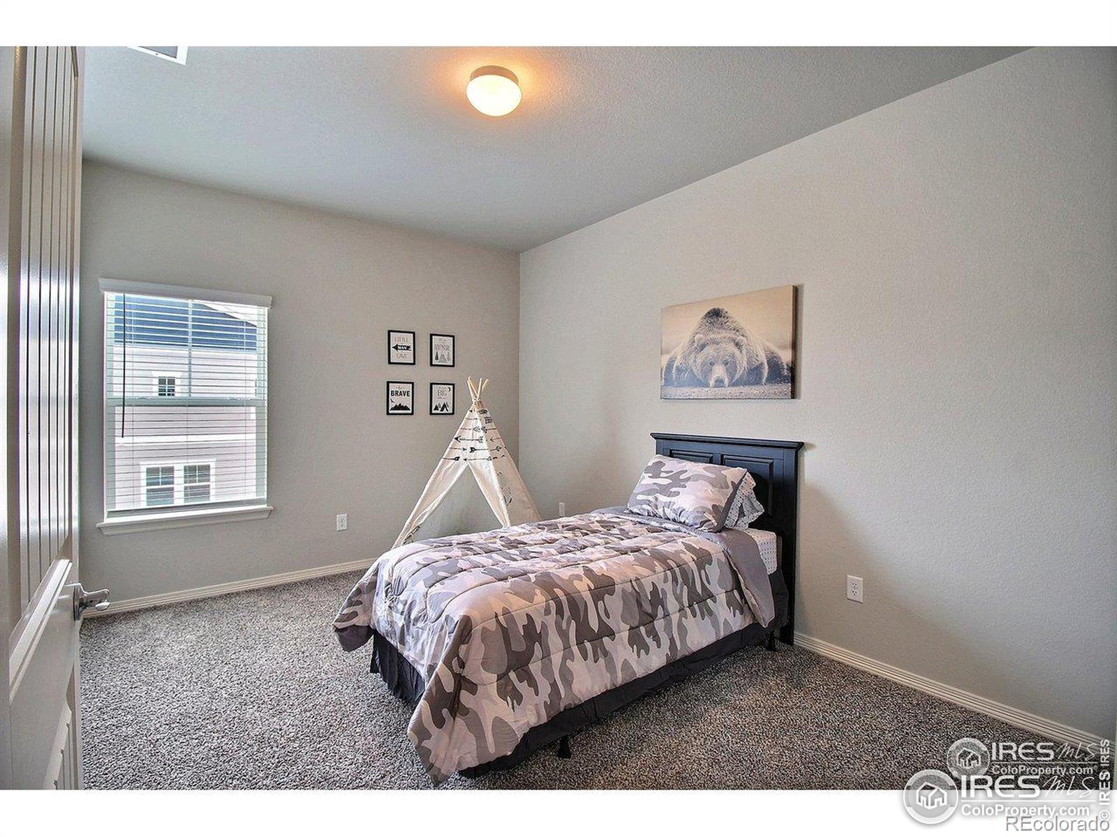 MLS Image #23 for 1693  grand avenue,windsor, Colorado