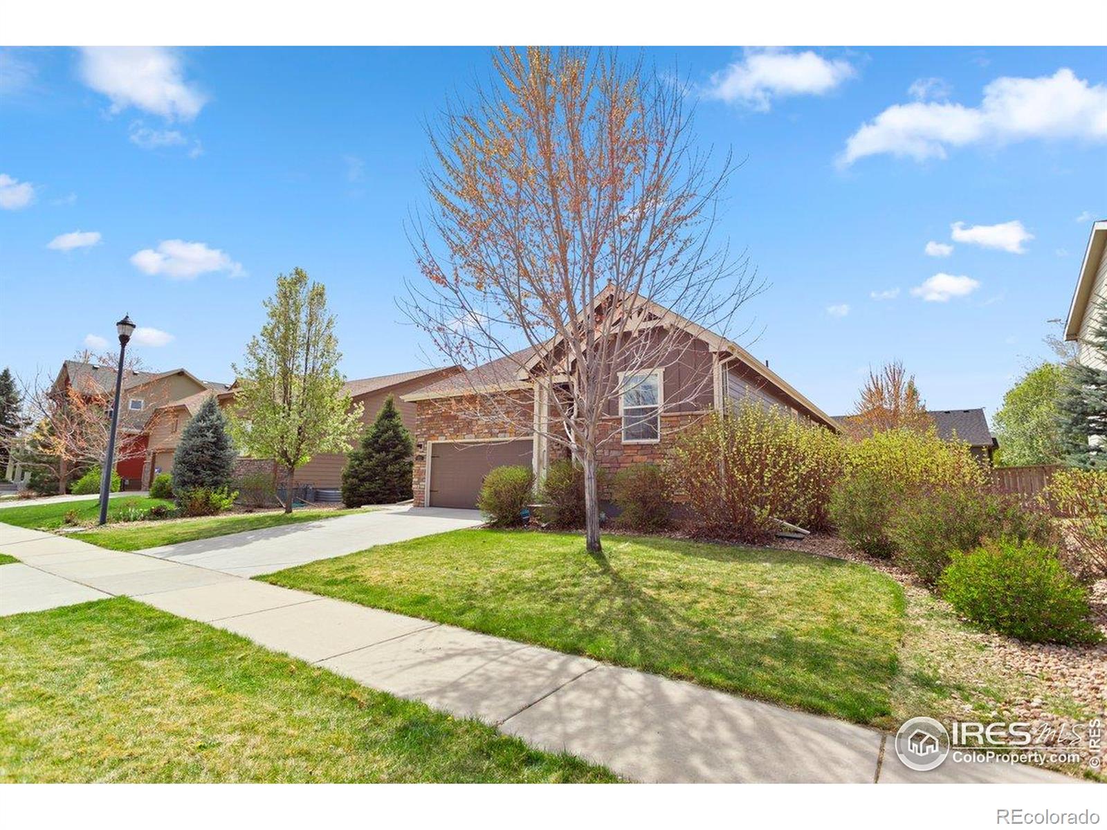 MLS Image #34 for 1511  bowen street,longmont, Colorado