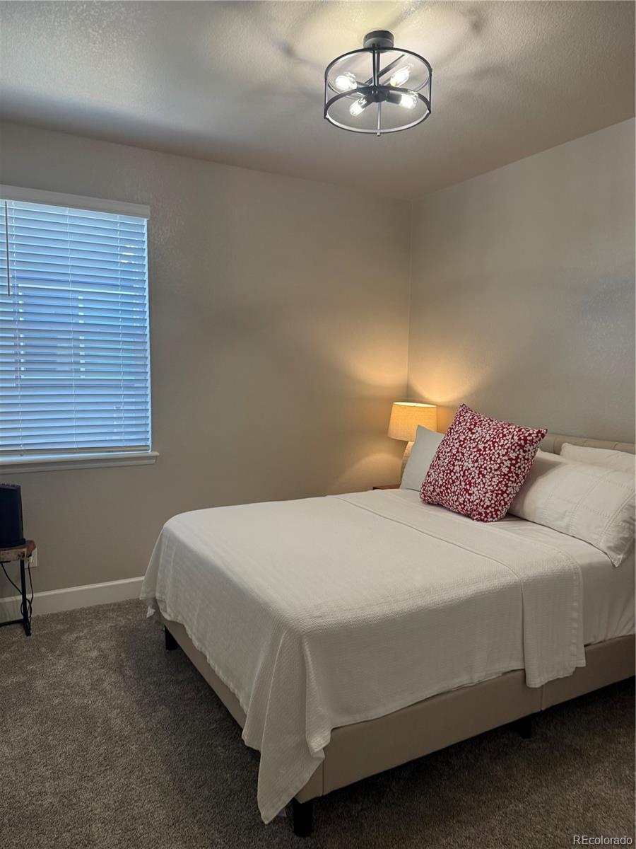 MLS Image #16 for 13432  broad wing drive,parker, Colorado