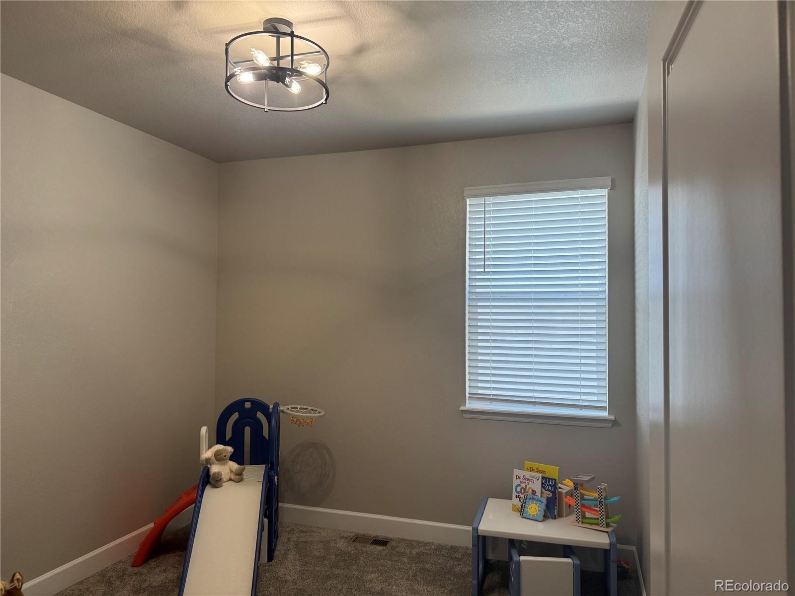 MLS Image #18 for 13432  broad wing drive,parker, Colorado