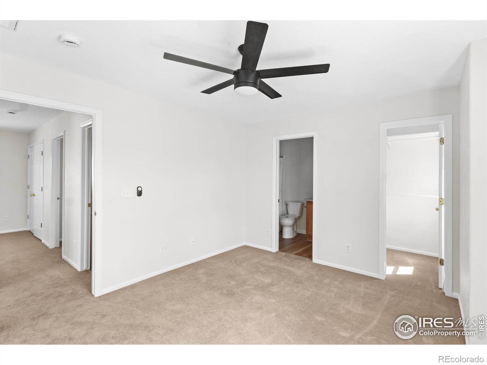 MLS Image #11 for 10703  butte drive,longmont, Colorado