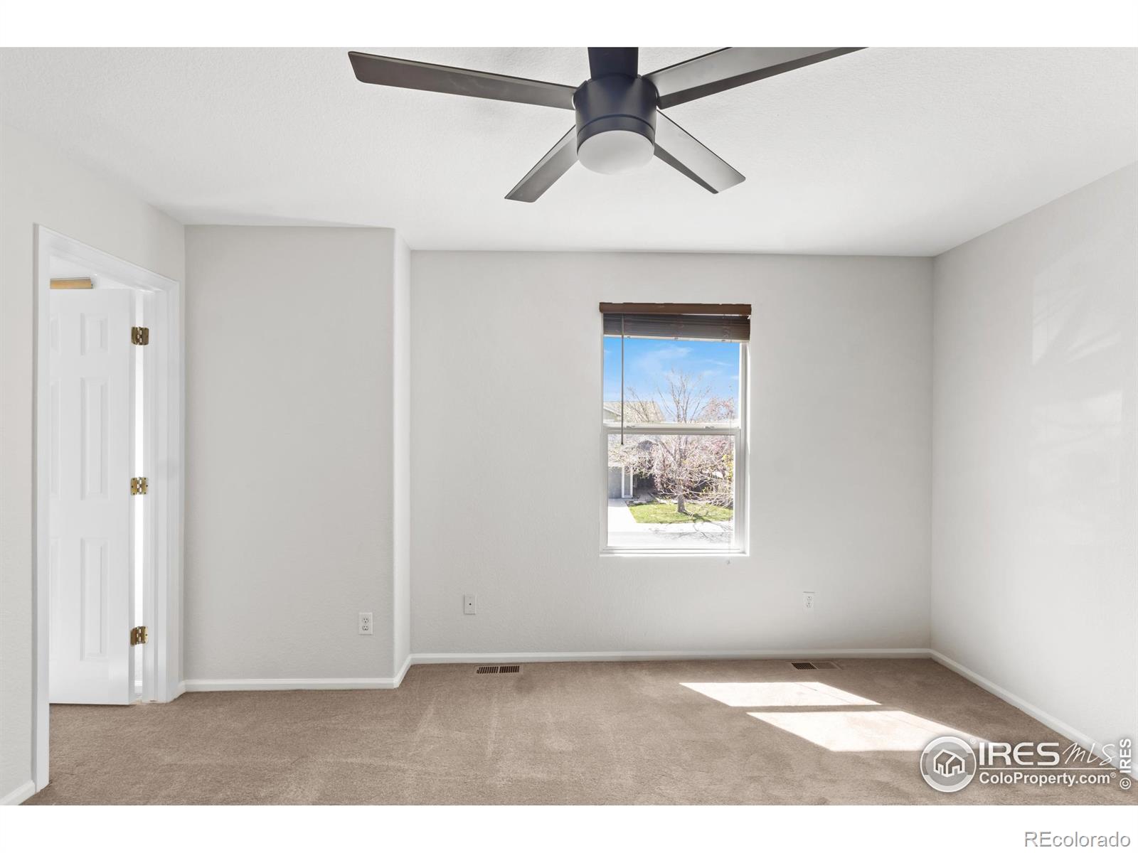 MLS Image #12 for 10703  butte drive,longmont, Colorado