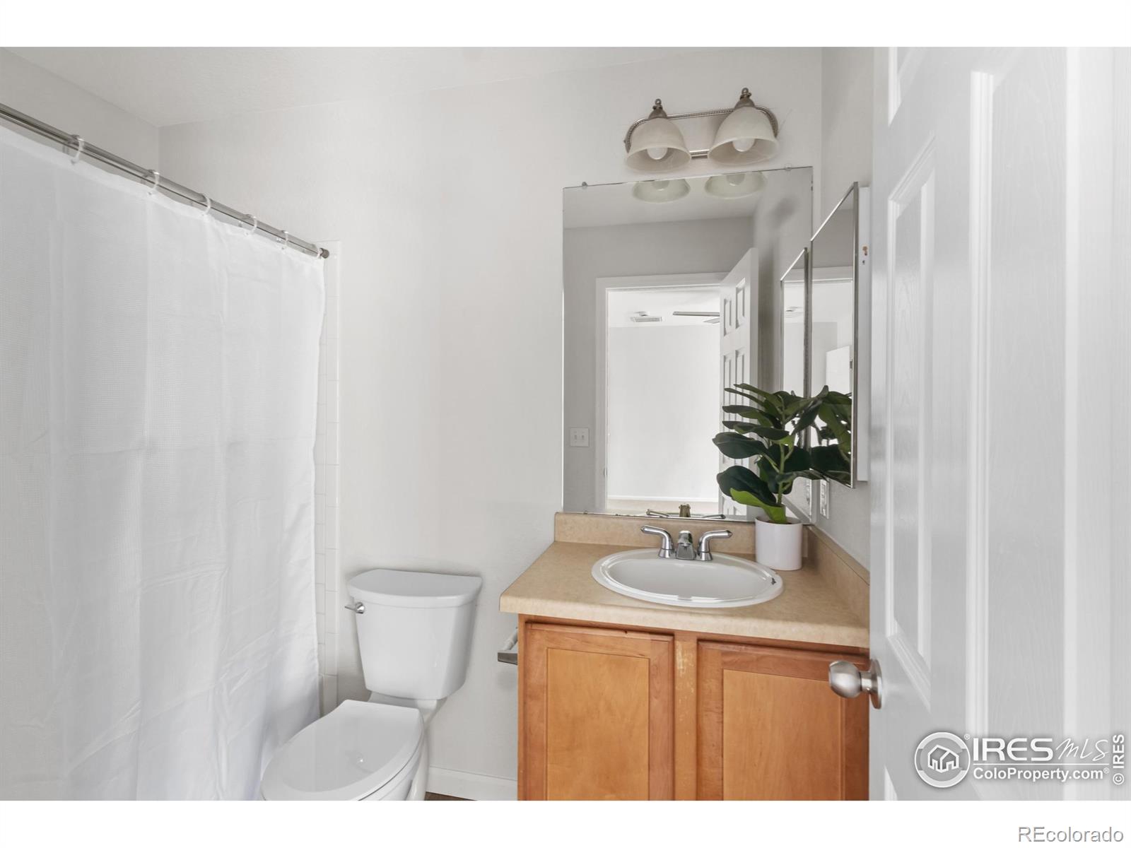 MLS Image #13 for 10703  butte drive,longmont, Colorado