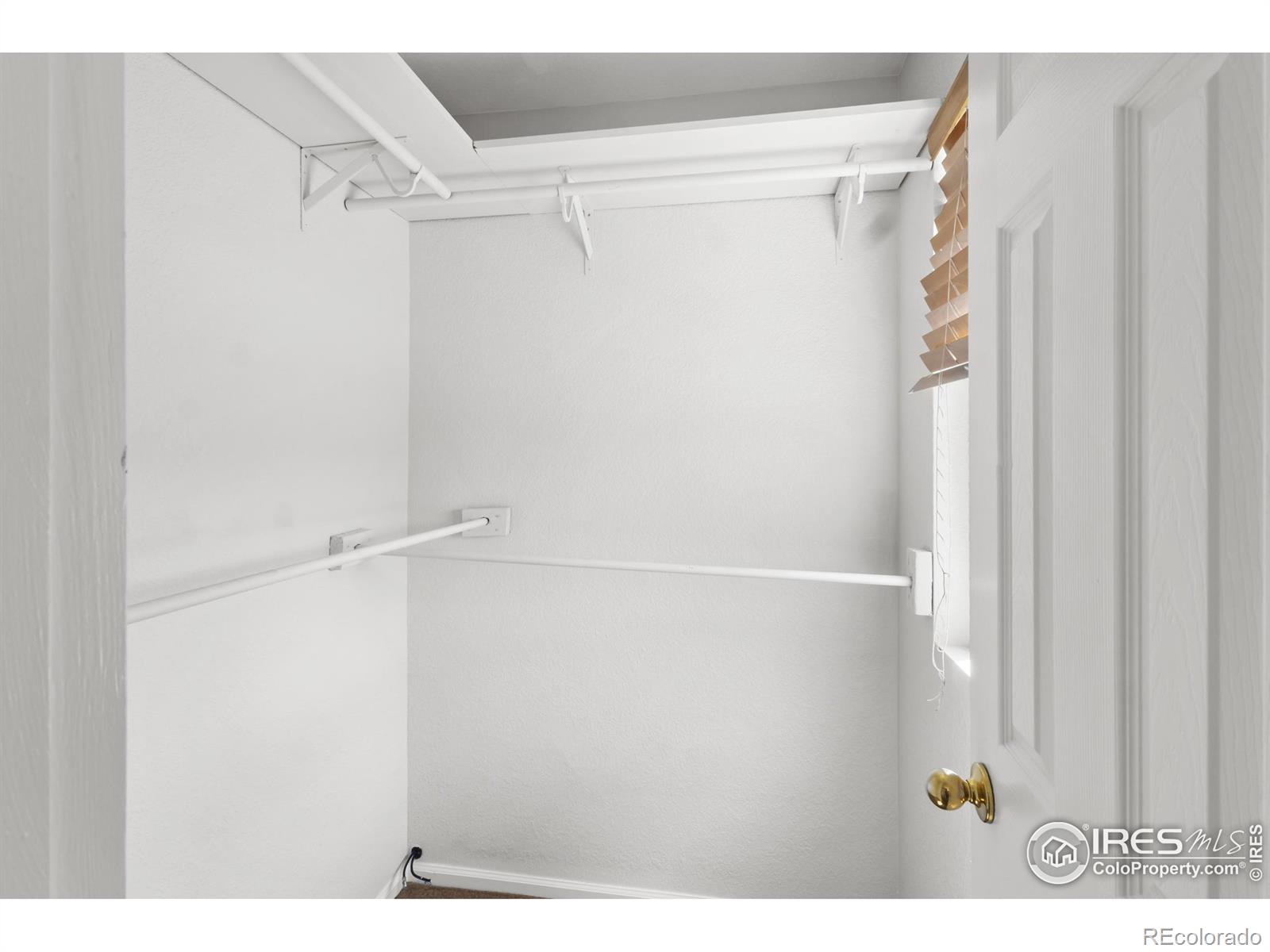 MLS Image #15 for 10703  butte drive,longmont, Colorado