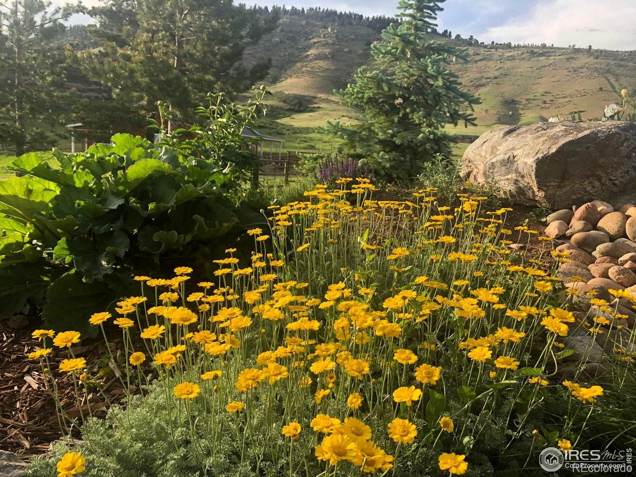 MLS Image #8 for 6730 w county road 38 ,loveland, Colorado