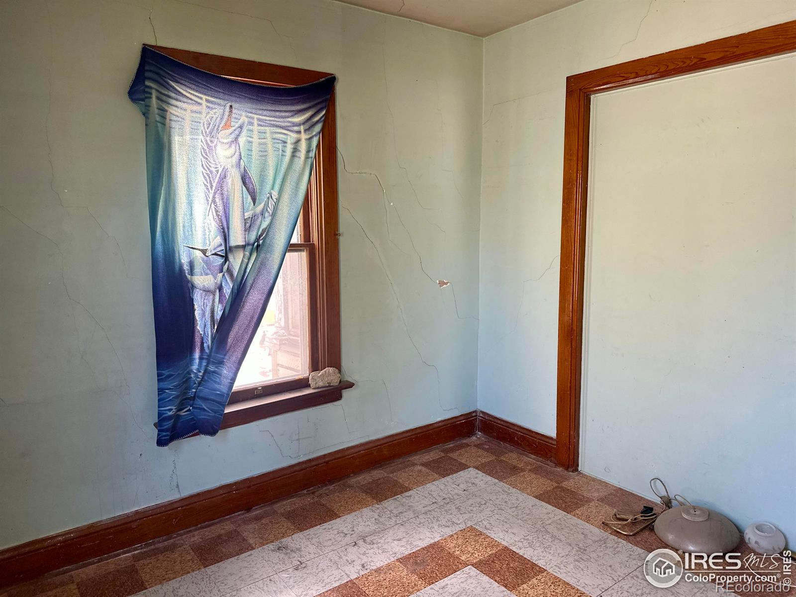 MLS Image #28 for 525  gay street,longmont, Colorado