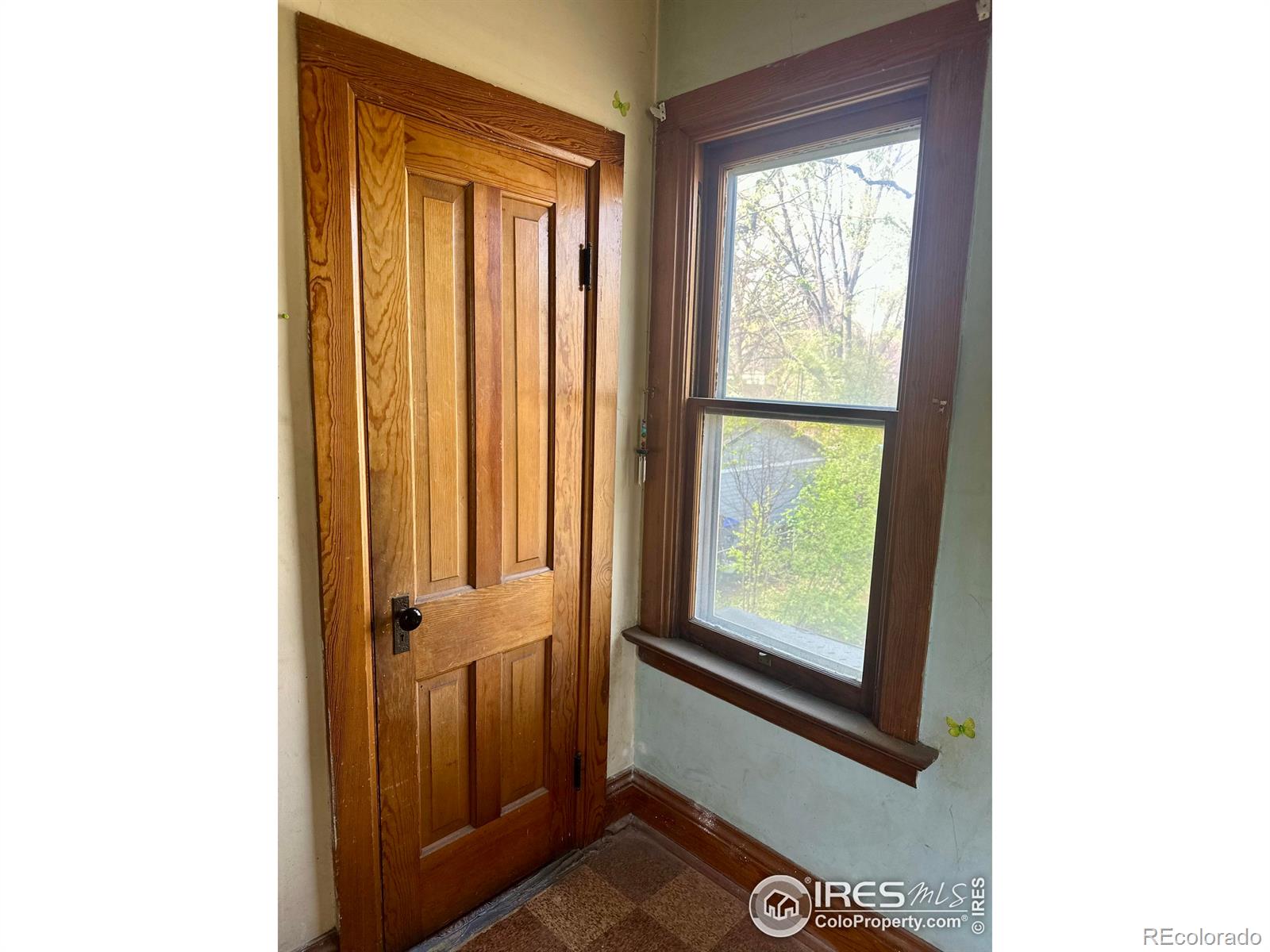 MLS Image #33 for 525  gay street,longmont, Colorado