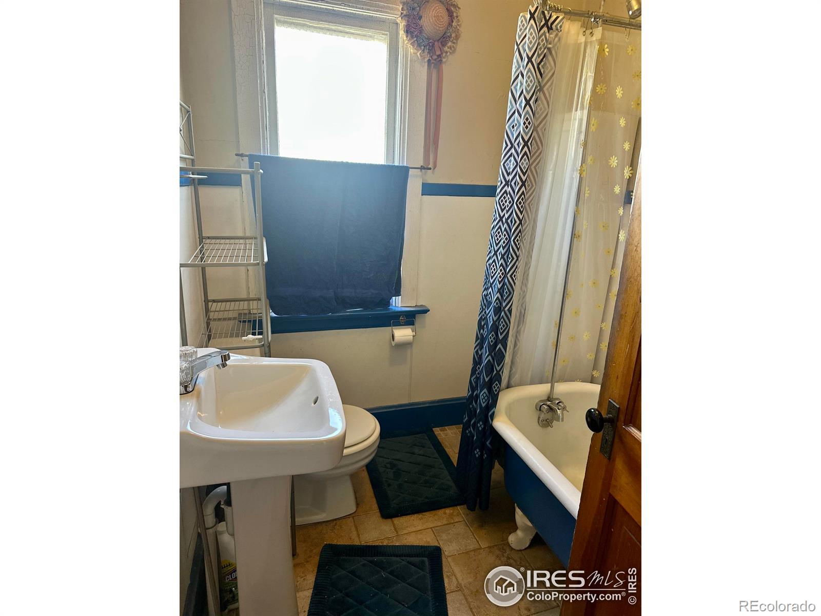 MLS Image #35 for 525  gay street,longmont, Colorado