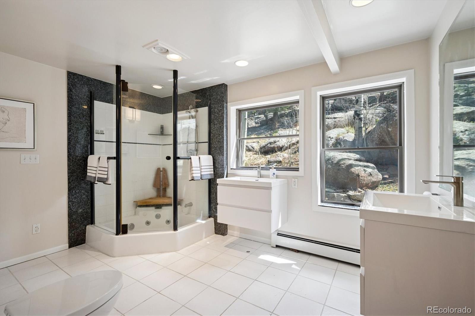 MLS Image #15 for 31692  horseshoe drive,evergreen, Colorado