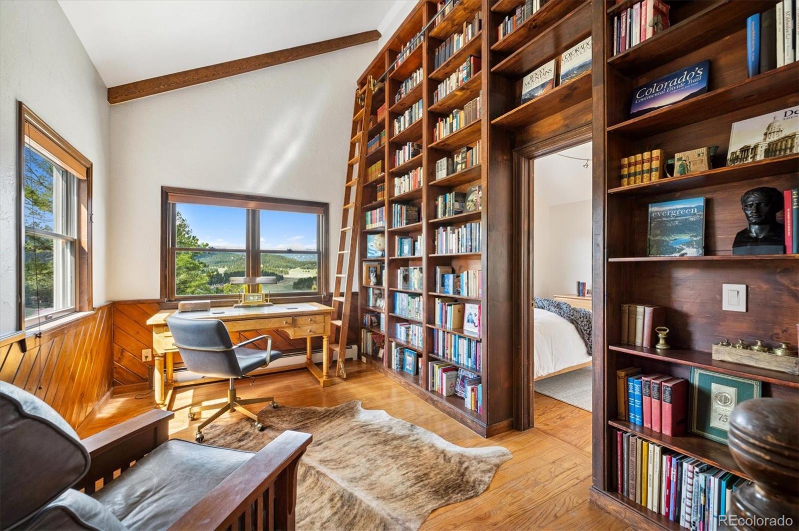 MLS Image #19 for 31692  horseshoe drive,evergreen, Colorado