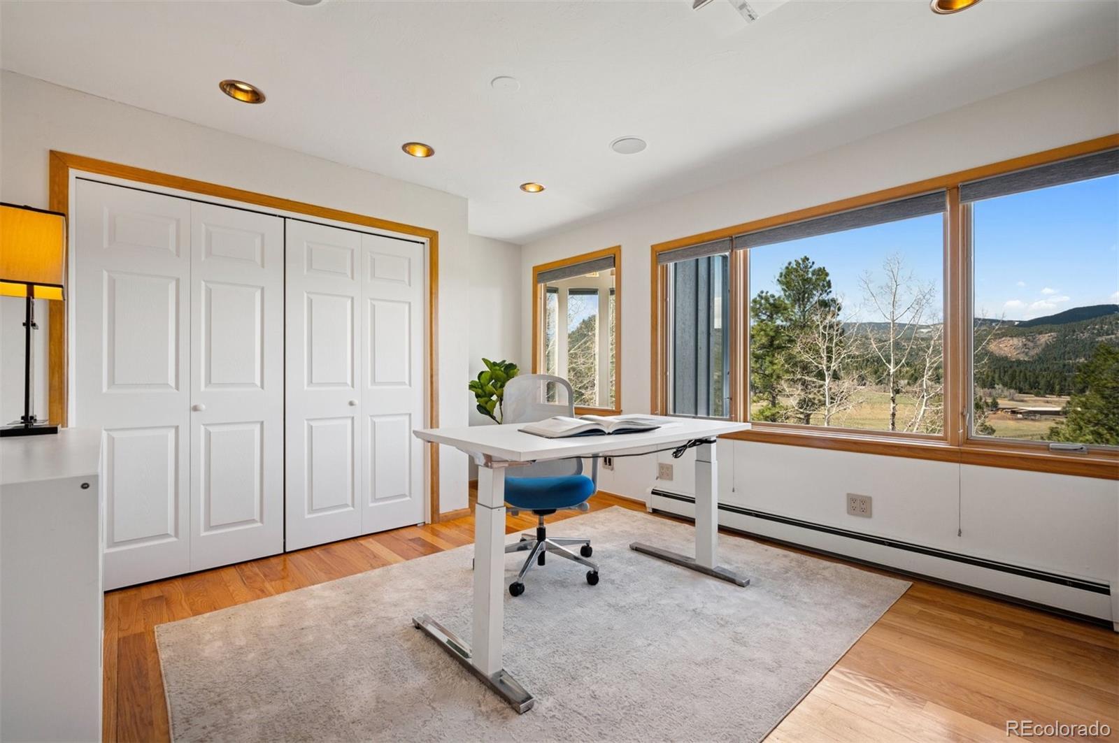 MLS Image #29 for 31692  horseshoe drive,evergreen, Colorado
