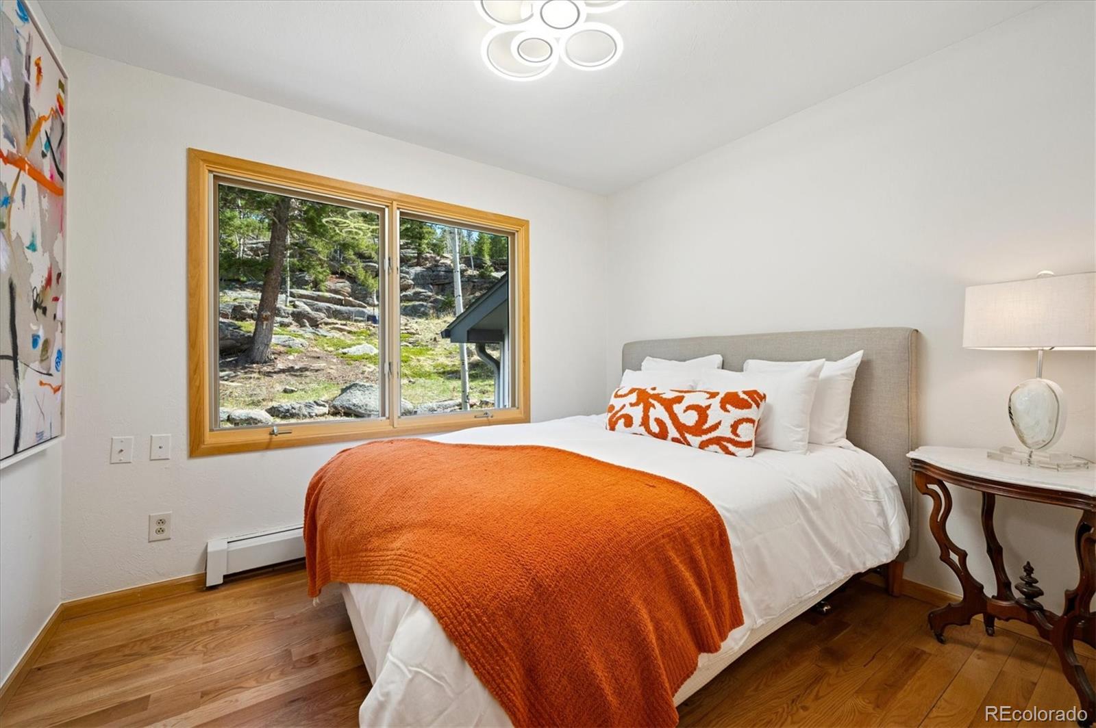 MLS Image #31 for 31692  horseshoe drive,evergreen, Colorado