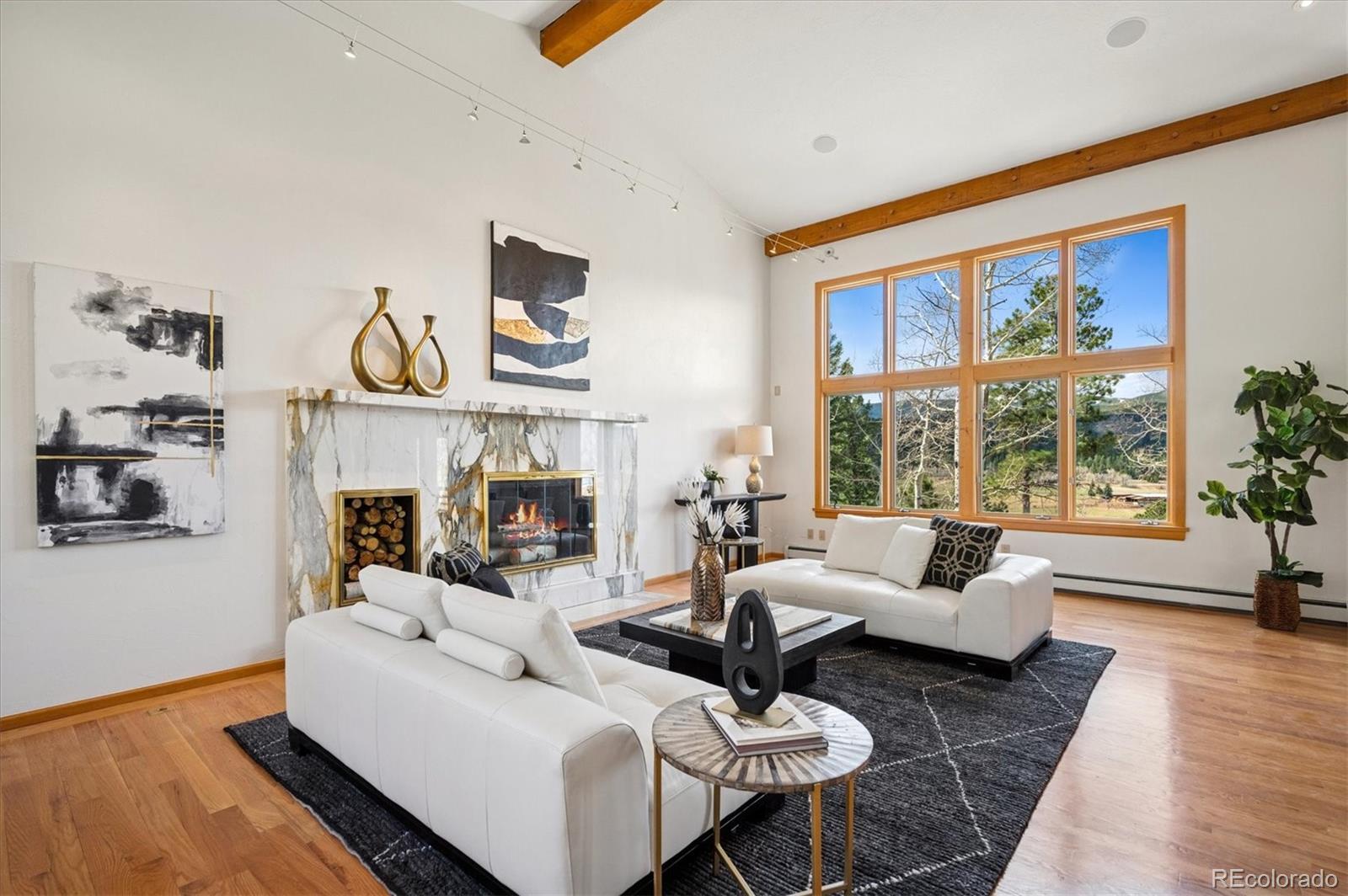 MLS Image #4 for 31692  horseshoe drive,evergreen, Colorado