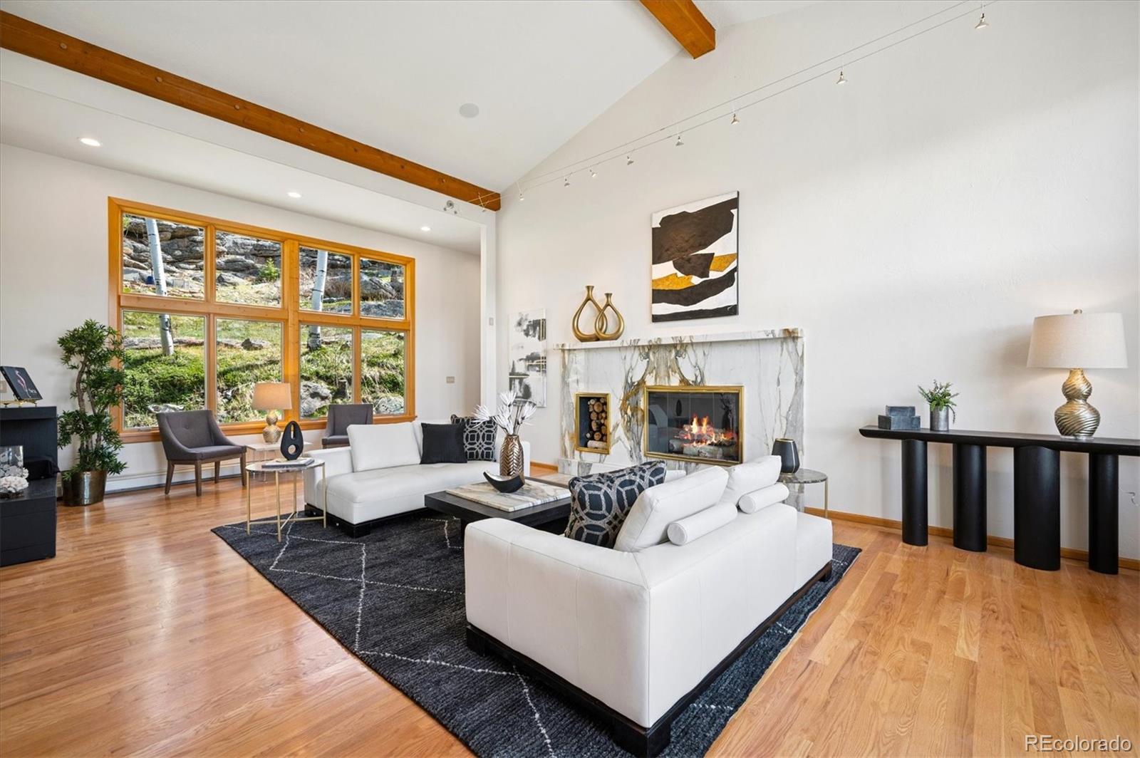 MLS Image #5 for 31692  horseshoe drive,evergreen, Colorado