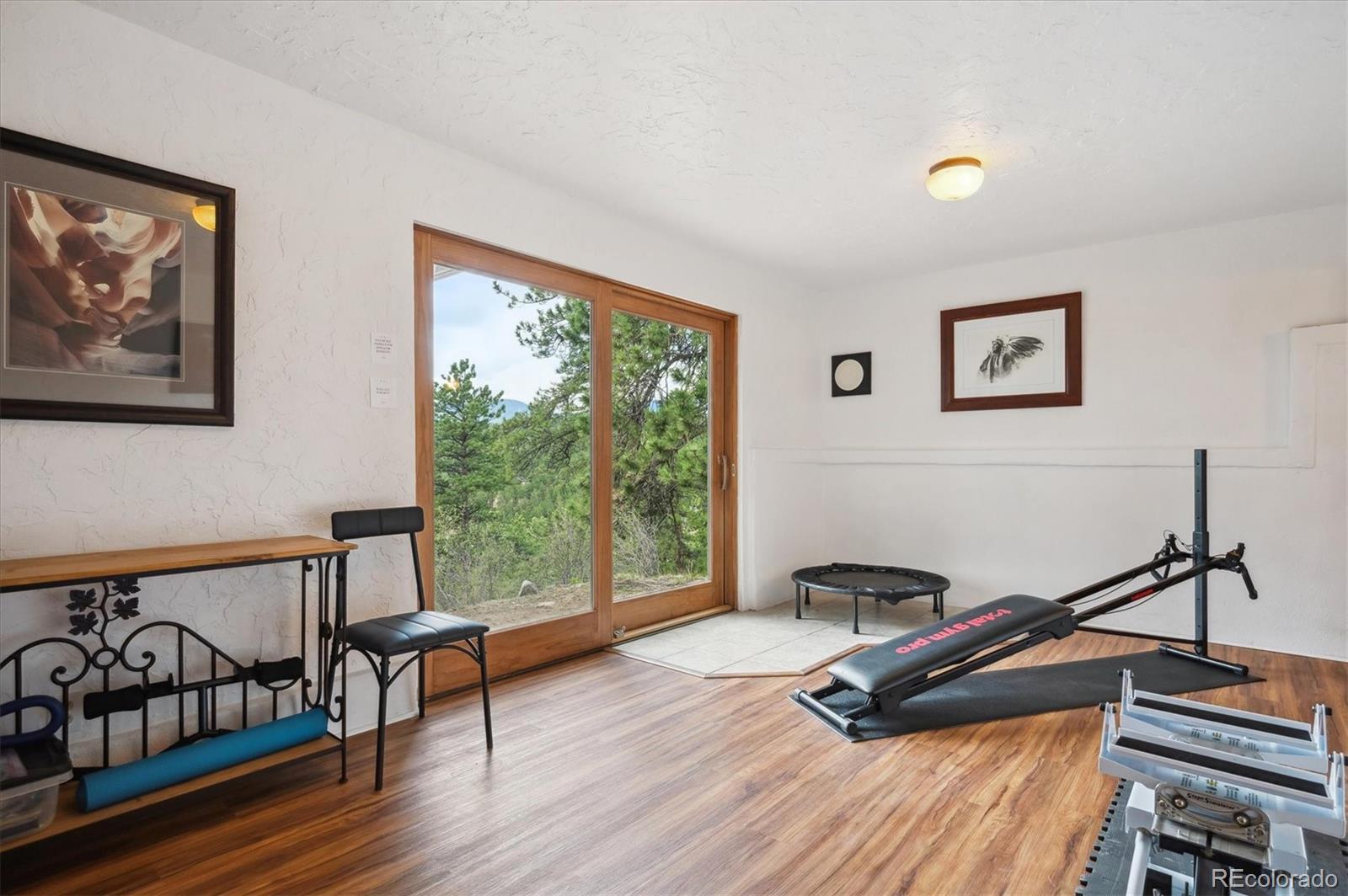 MLS Image #14 for 362  dick mountain drive,bailey, Colorado