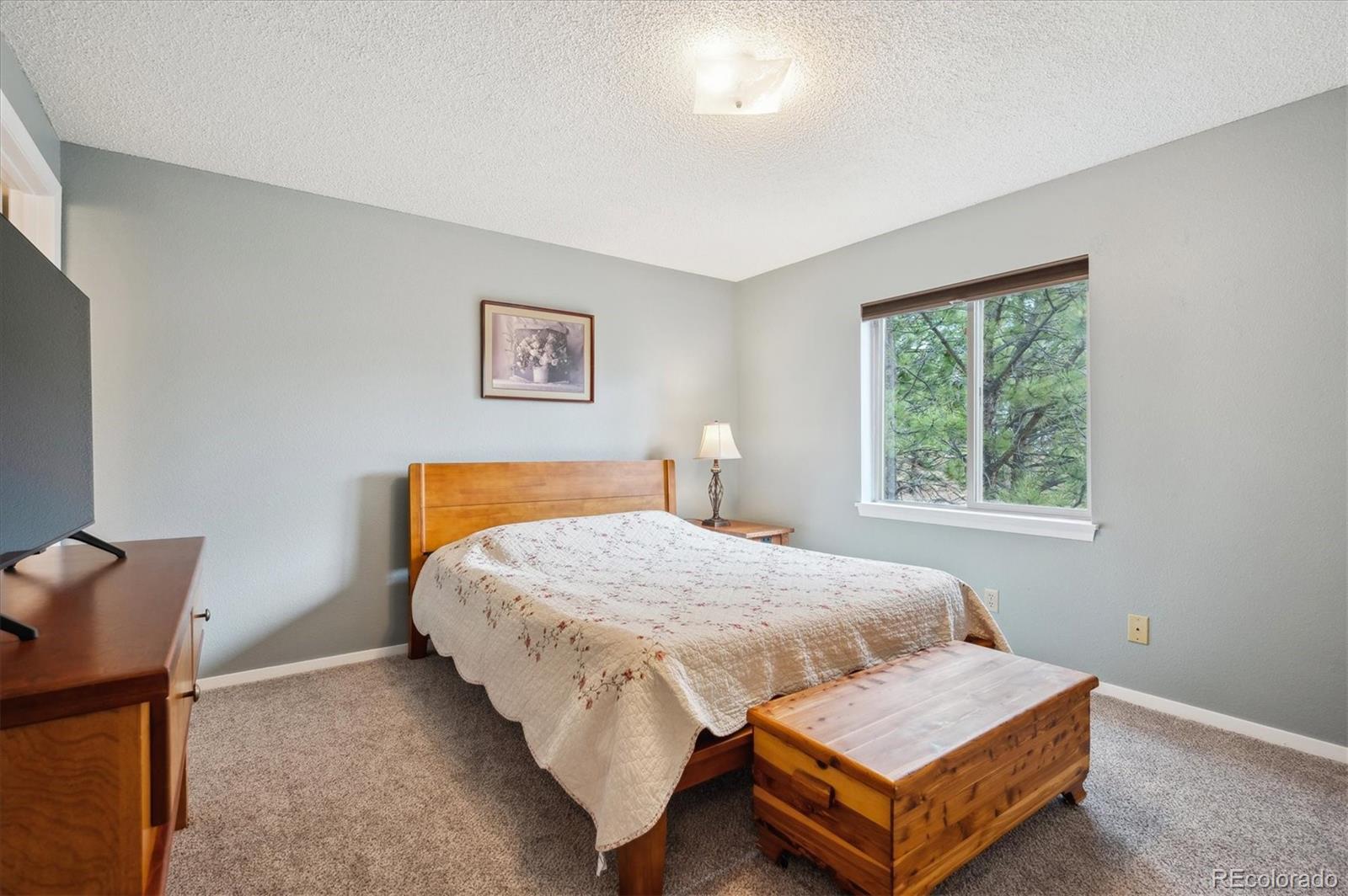 MLS Image #18 for 362  dick mountain drive,bailey, Colorado