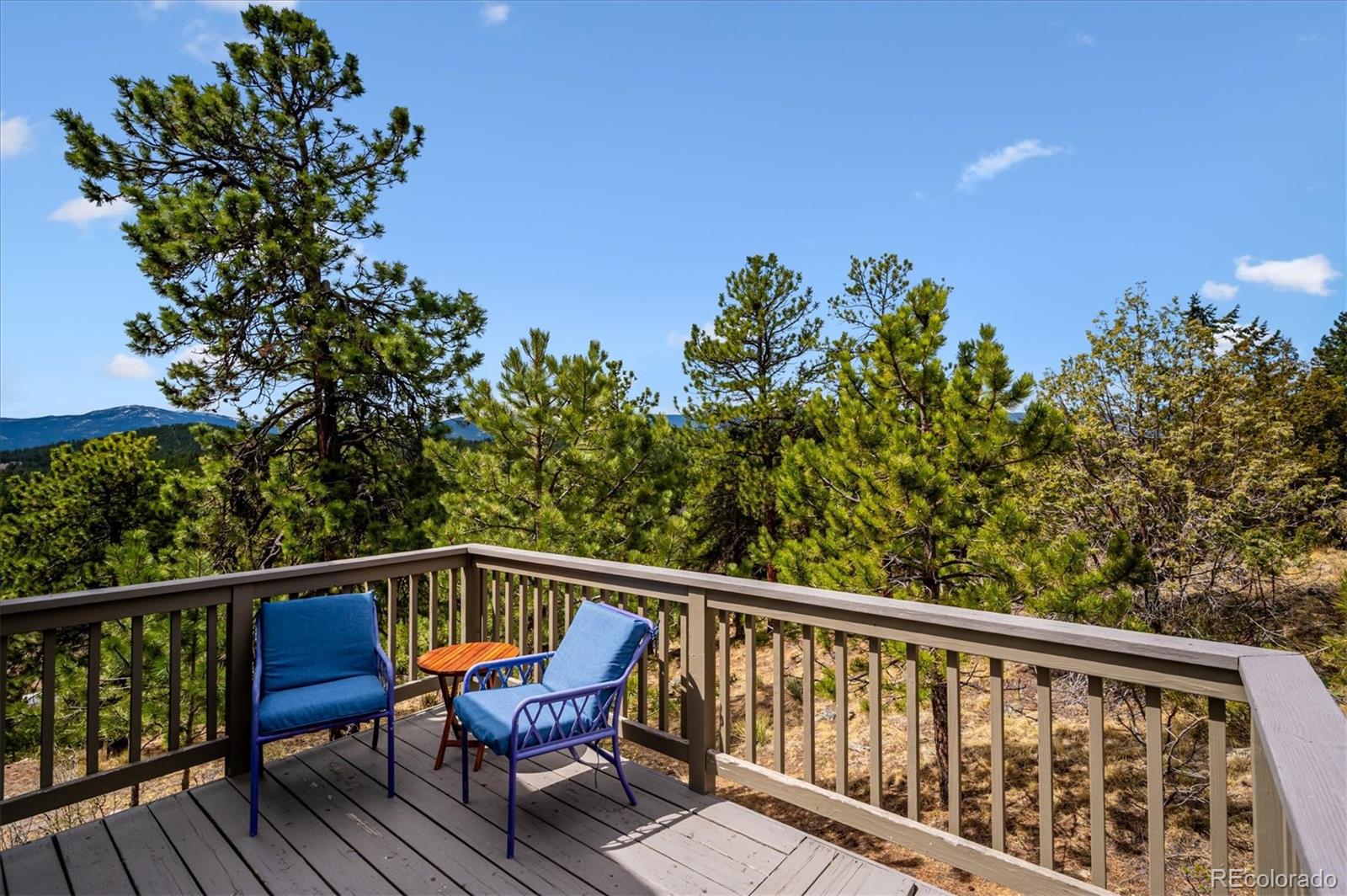 MLS Image #21 for 362  dick mountain drive,bailey, Colorado