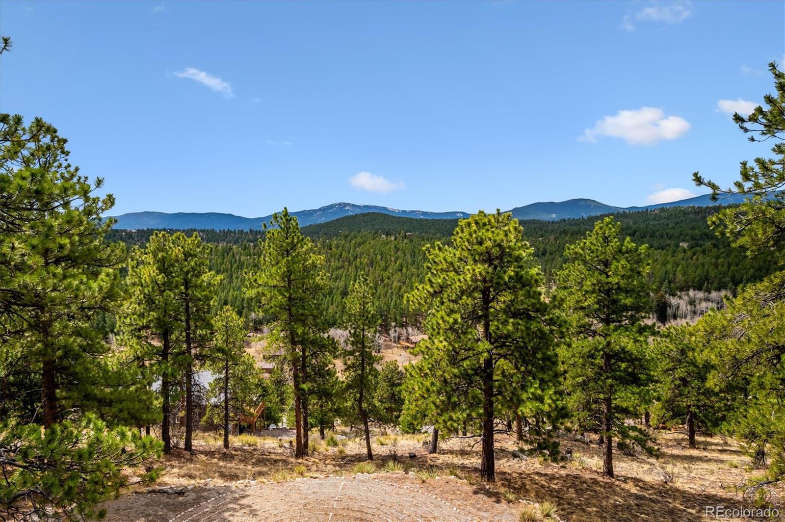 MLS Image #32 for 362  dick mountain drive,bailey, Colorado