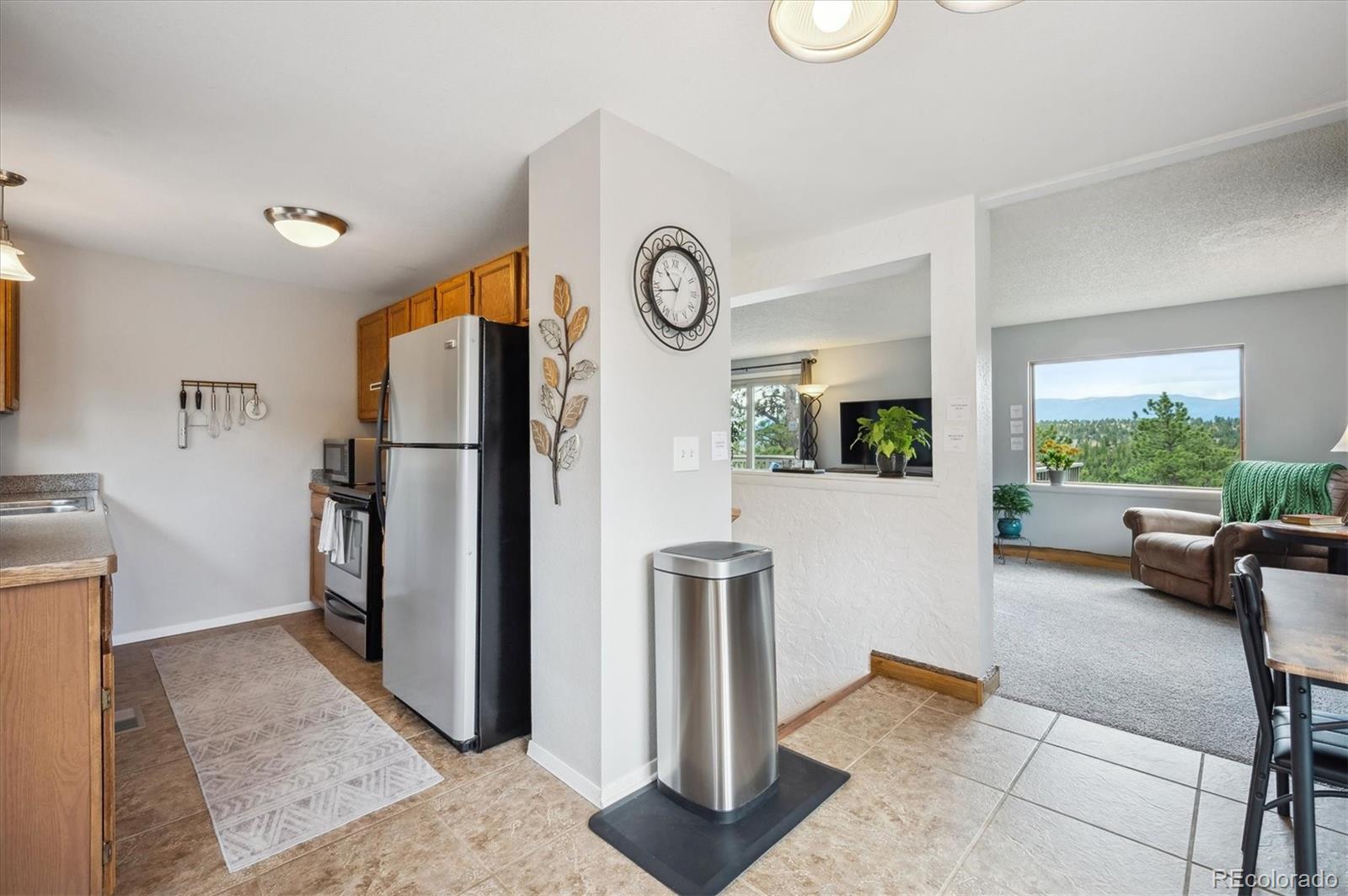 MLS Image #5 for 362  dick mountain drive,bailey, Colorado