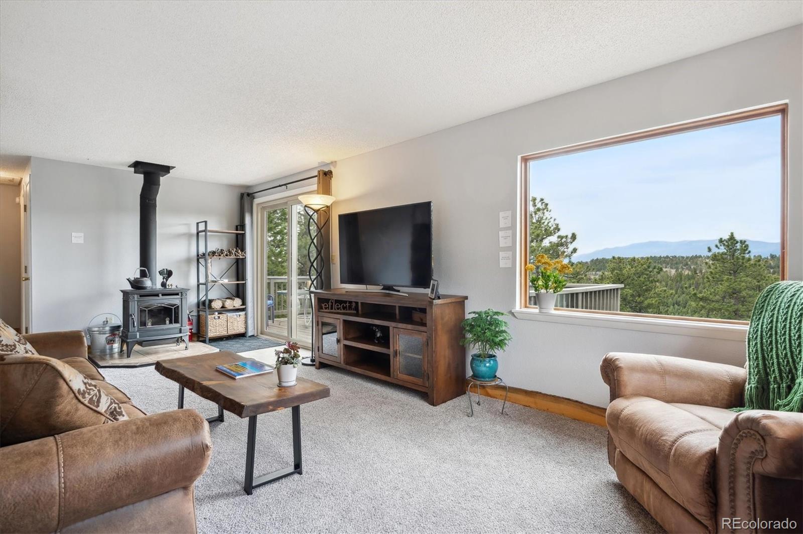 MLS Image #7 for 362  dick mountain drive,bailey, Colorado