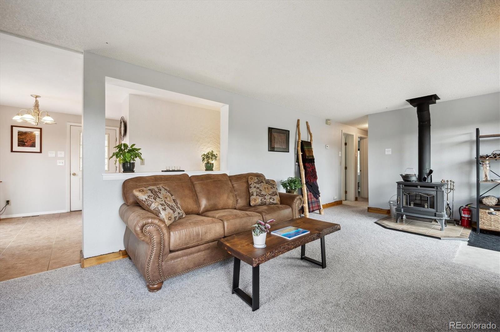 MLS Image #9 for 362  dick mountain drive,bailey, Colorado
