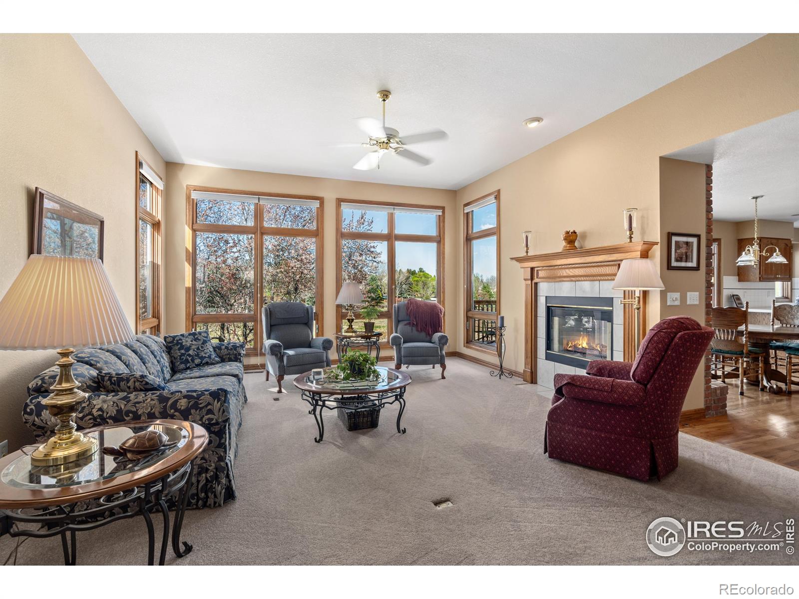MLS Image #12 for 6260  buchanan street,fort collins, Colorado