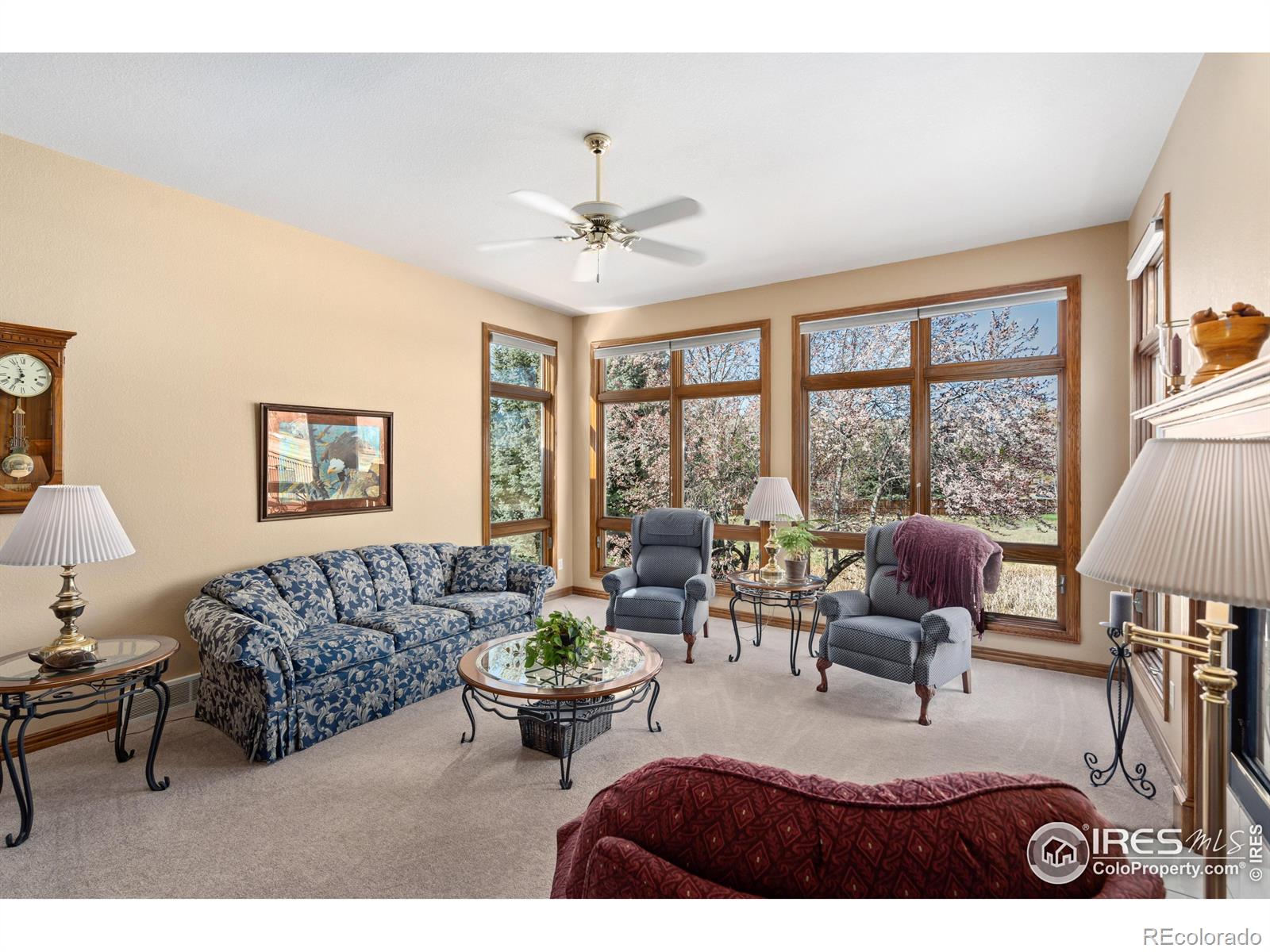 MLS Image #13 for 6260  buchanan street,fort collins, Colorado
