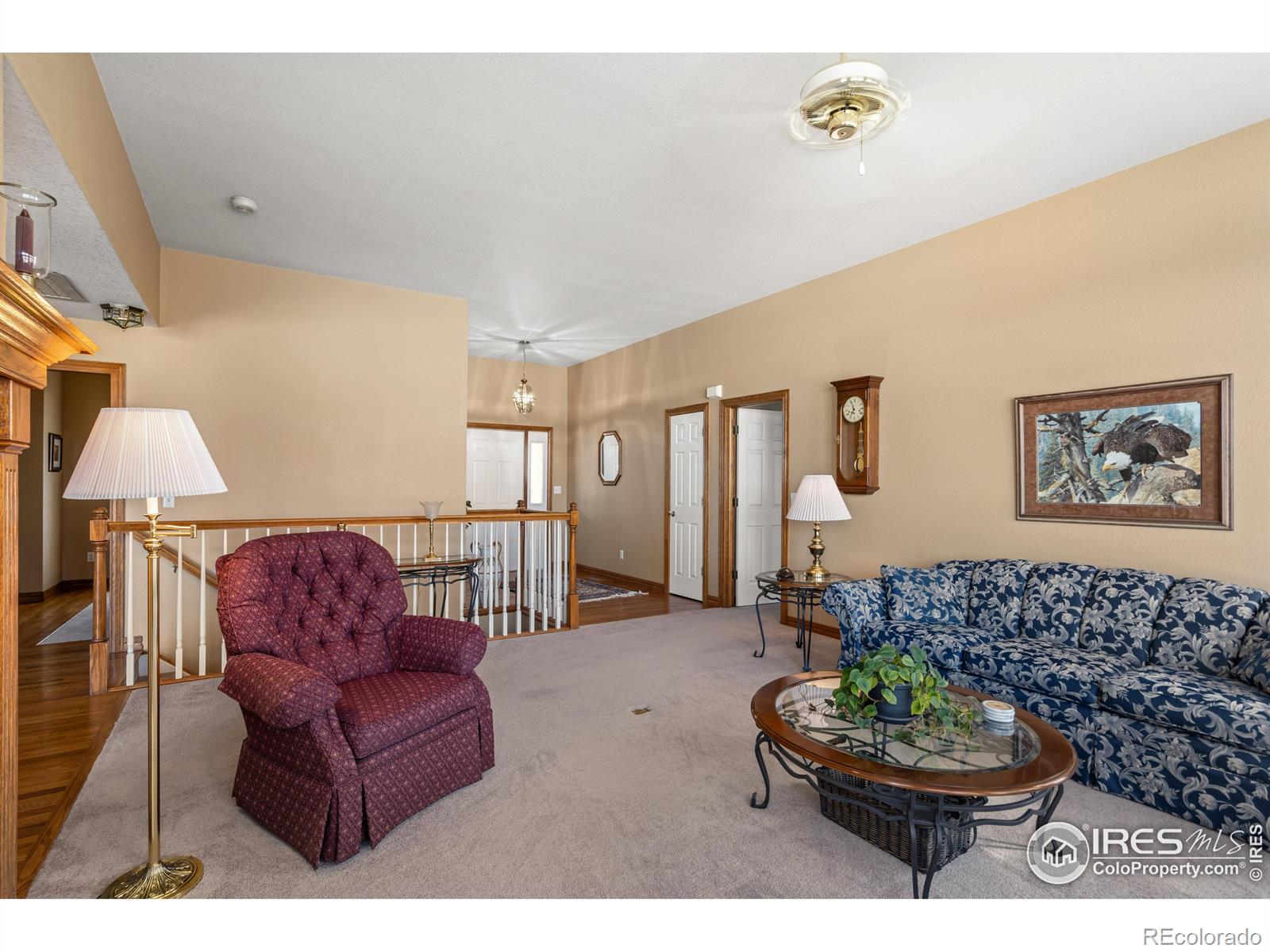 MLS Image #14 for 6260  buchanan street,fort collins, Colorado