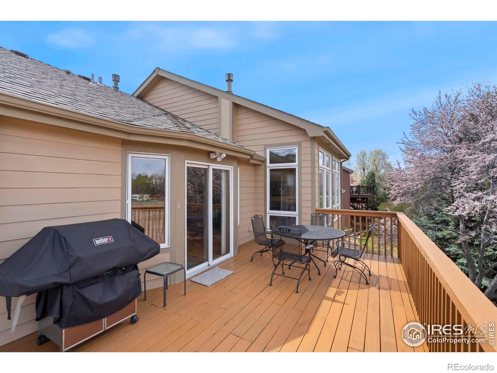 MLS Image #15 for 6260  buchanan street,fort collins, Colorado
