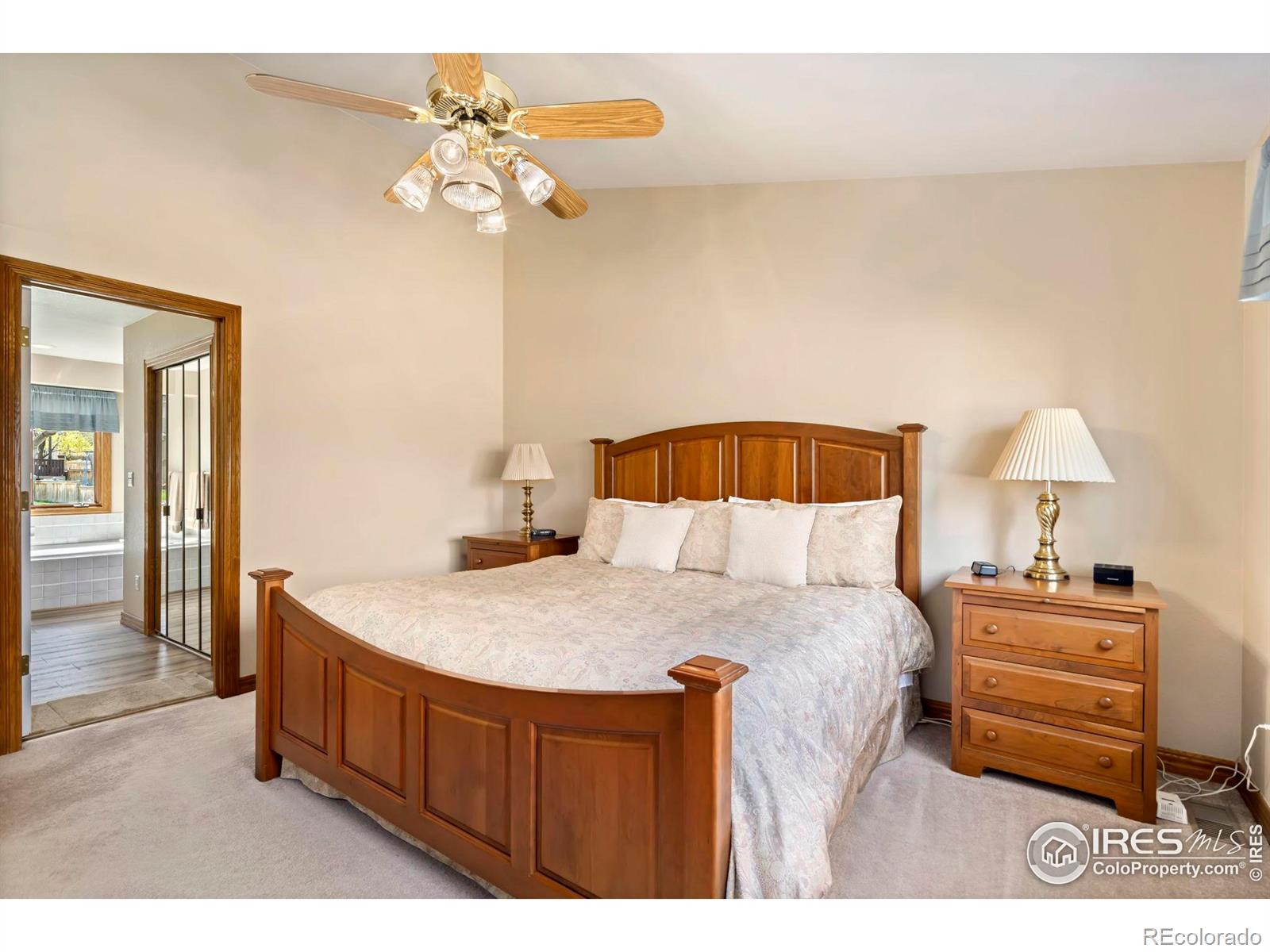 MLS Image #17 for 6260  buchanan street,fort collins, Colorado