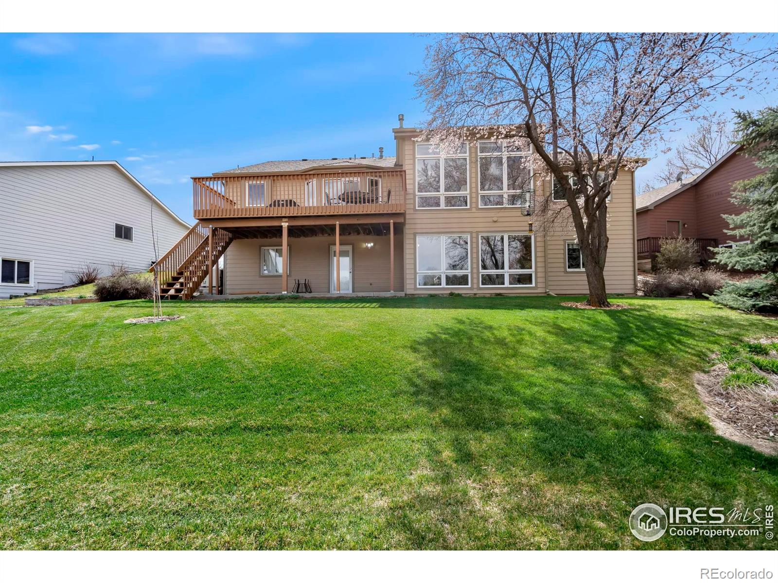 MLS Image #30 for 6260  buchanan street,fort collins, Colorado