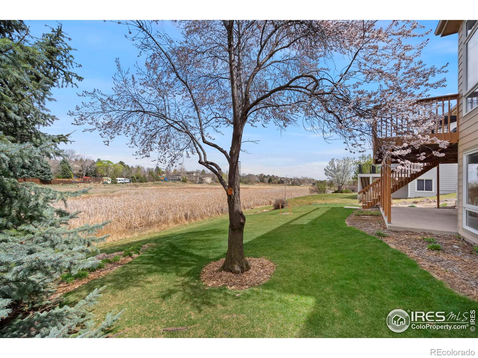 MLS Image #32 for 6260  buchanan street,fort collins, Colorado