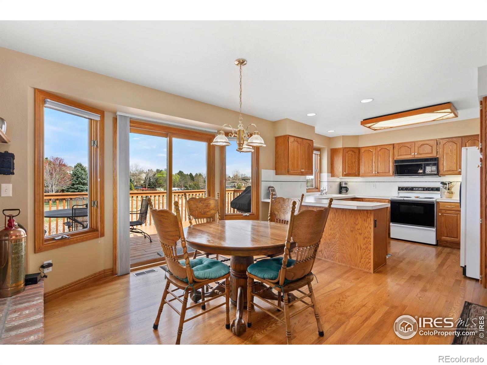 MLS Image #7 for 6260  buchanan street,fort collins, Colorado