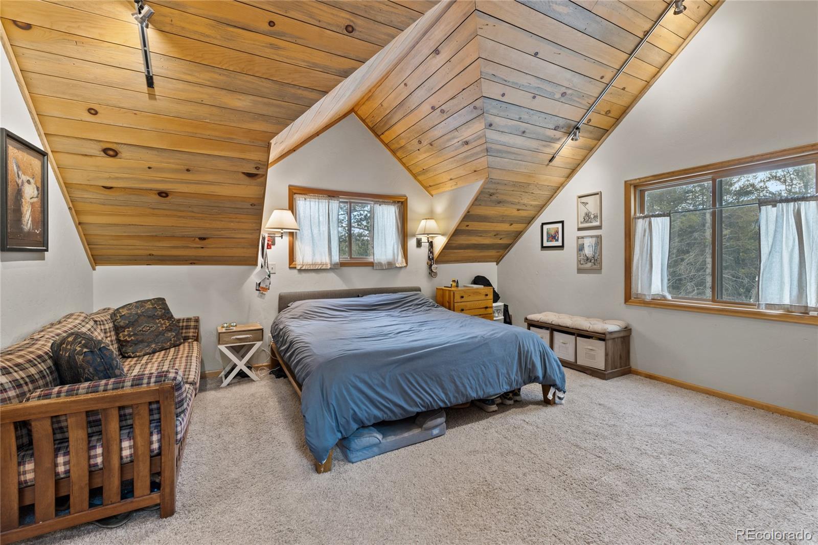 MLS Image #10 for 325  county road 19 ,leadville, Colorado