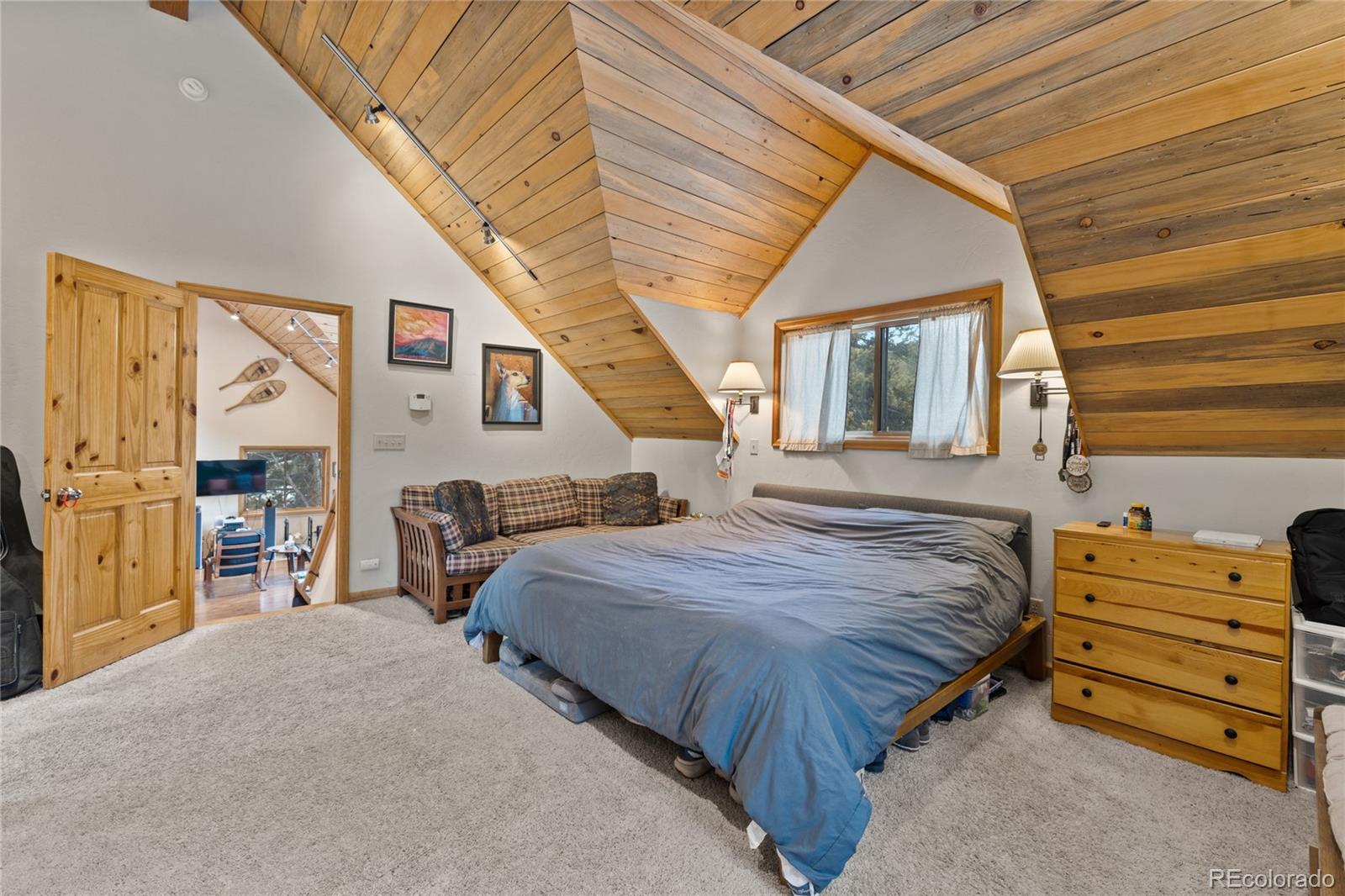 MLS Image #11 for 325  county road 19 ,leadville, Colorado