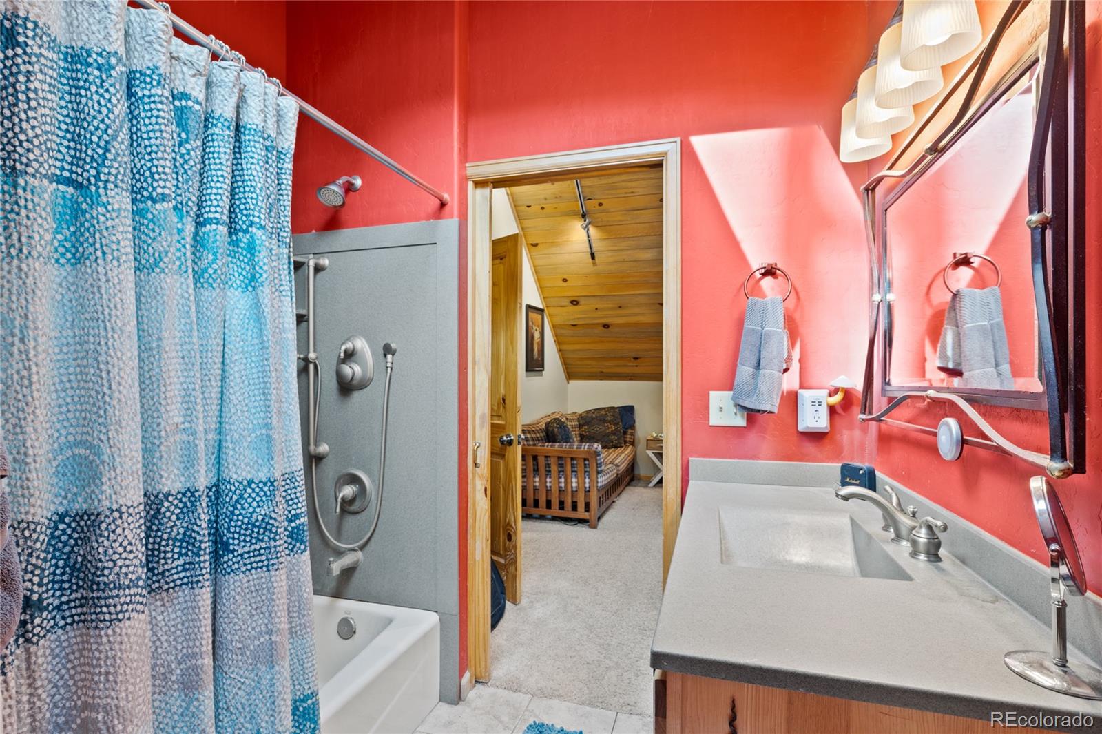MLS Image #13 for 325  county road 19 ,leadville, Colorado