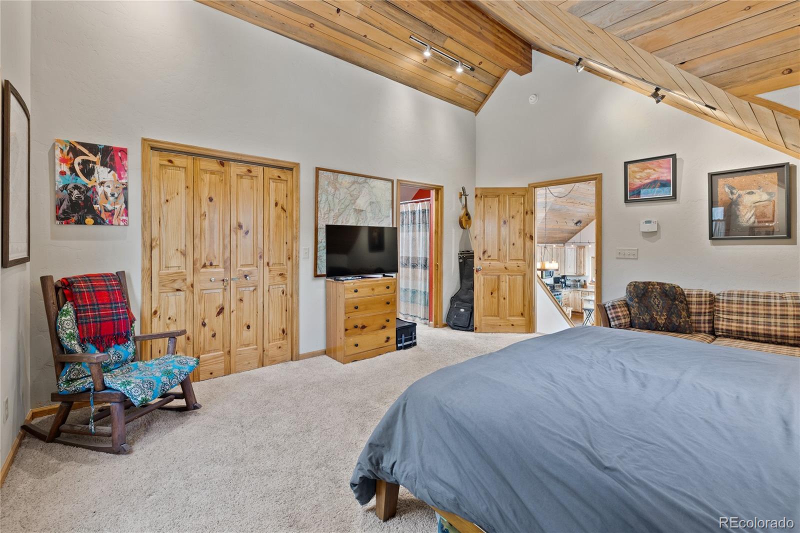 MLS Image #14 for 325  county road 19 ,leadville, Colorado