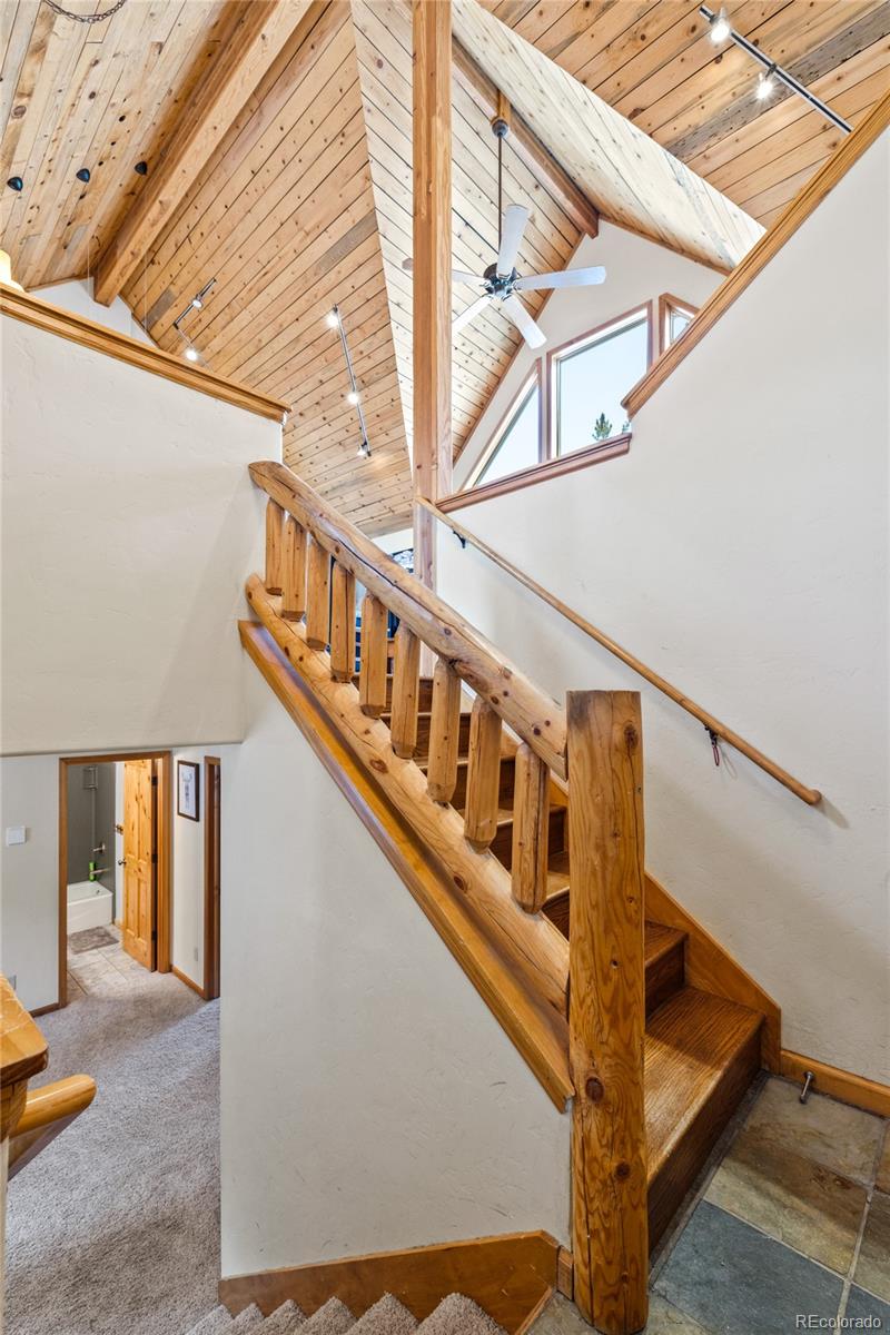 MLS Image #16 for 325  county road 19 ,leadville, Colorado