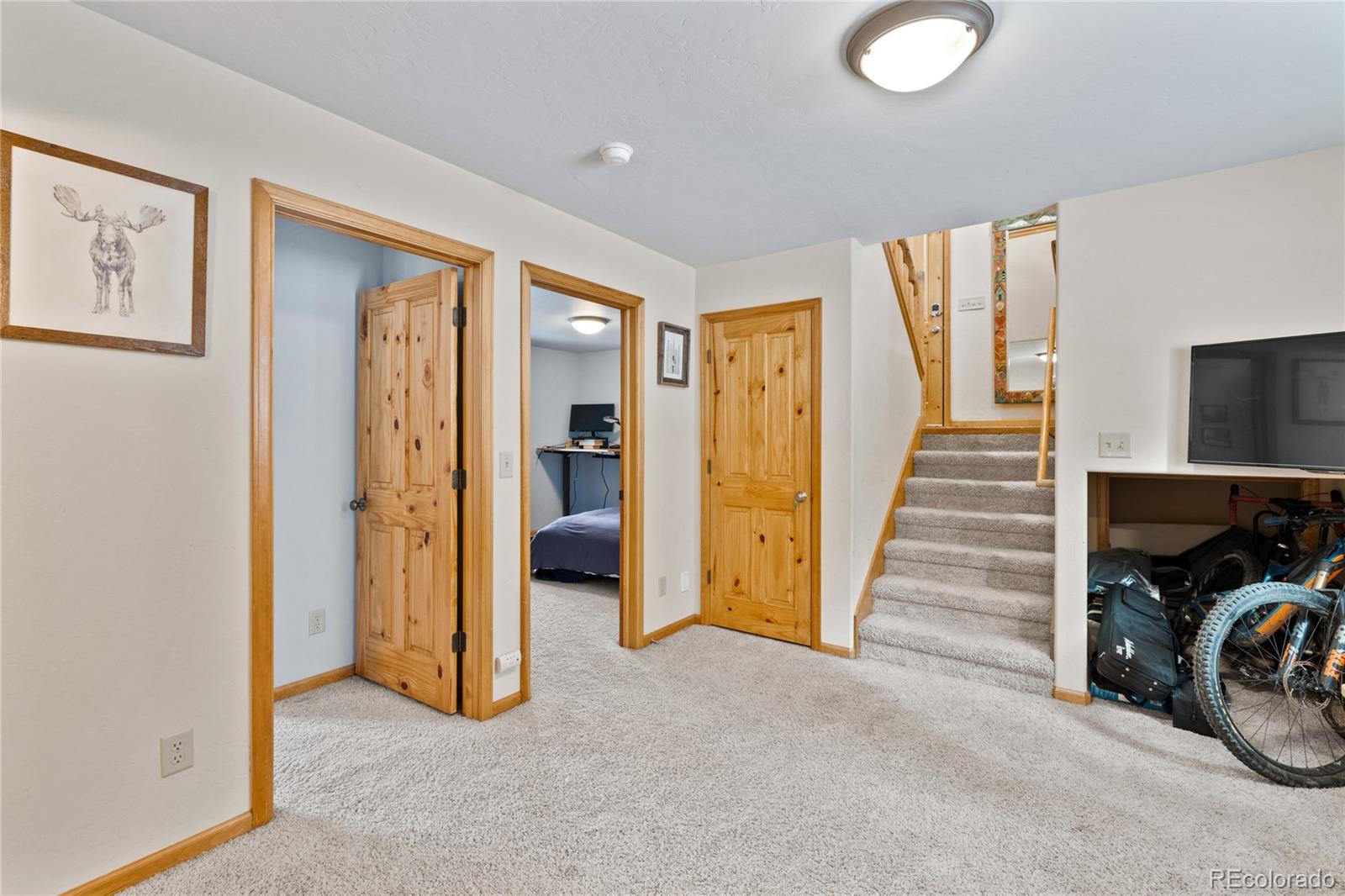 MLS Image #17 for 325  county road 19 ,leadville, Colorado
