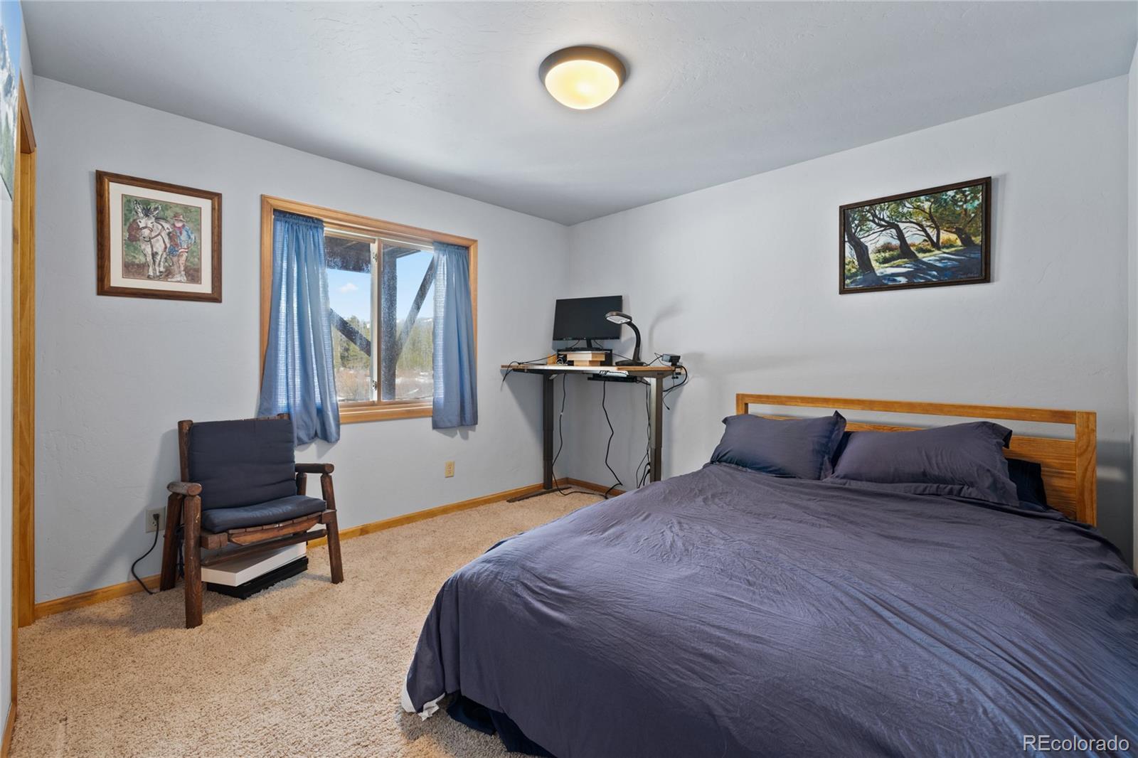 MLS Image #18 for 325  county road 19 ,leadville, Colorado