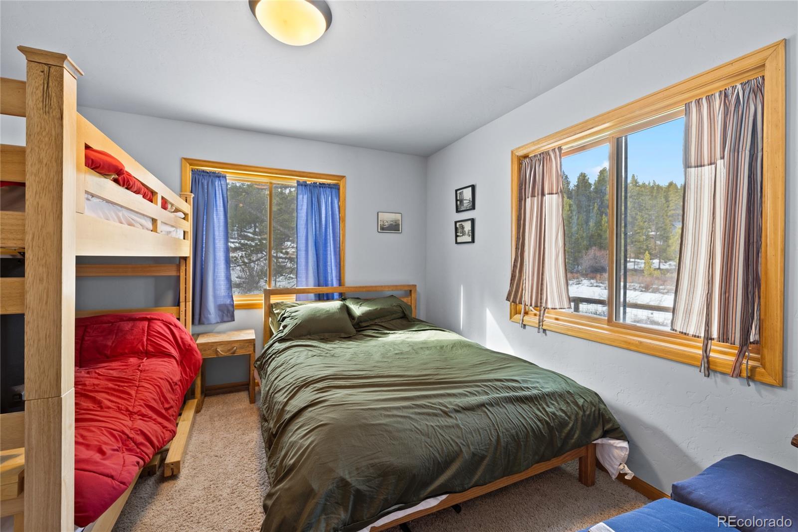 MLS Image #19 for 325  county road 19 ,leadville, Colorado