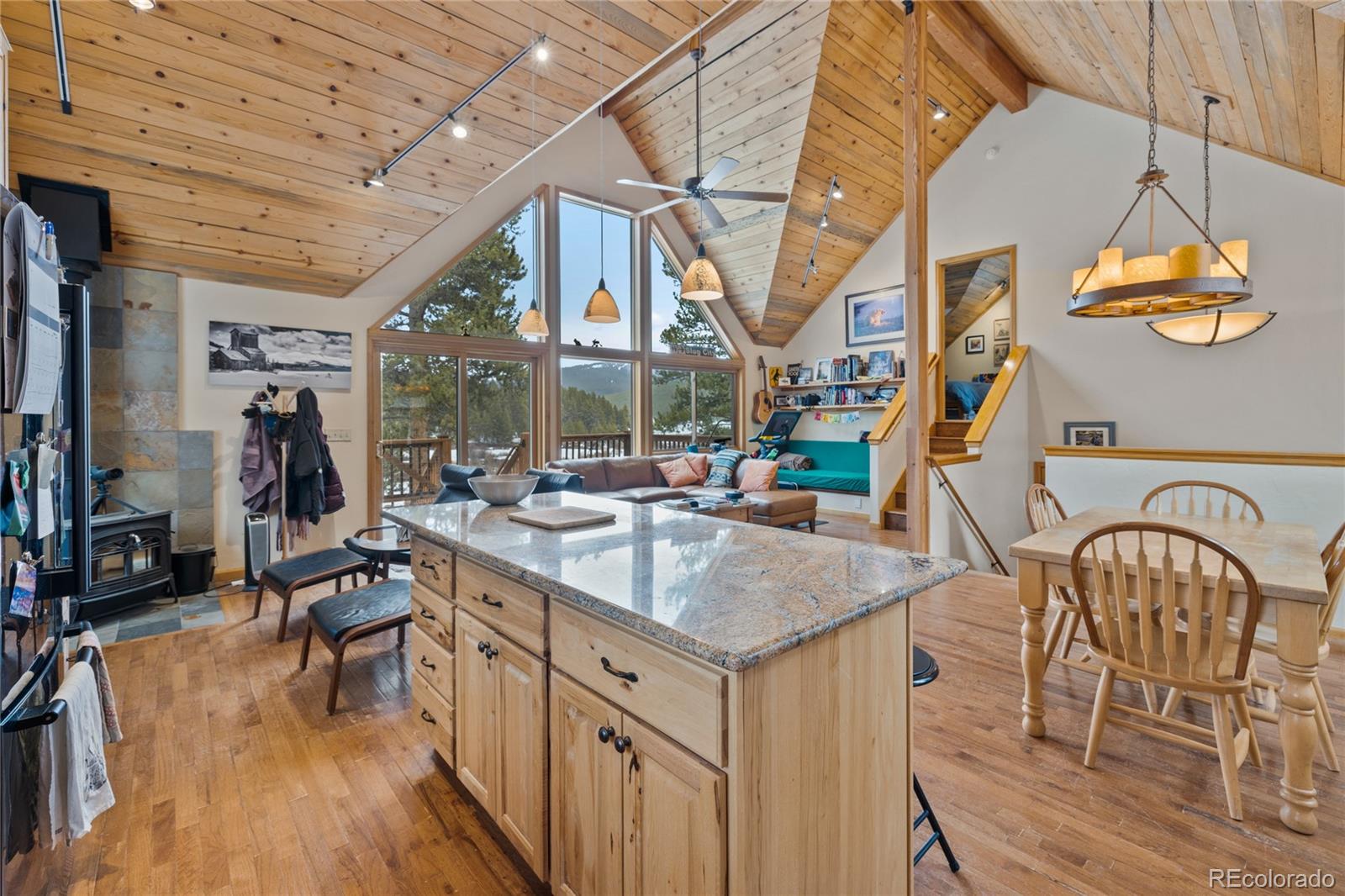 MLS Image #4 for 325  county road 19 ,leadville, Colorado