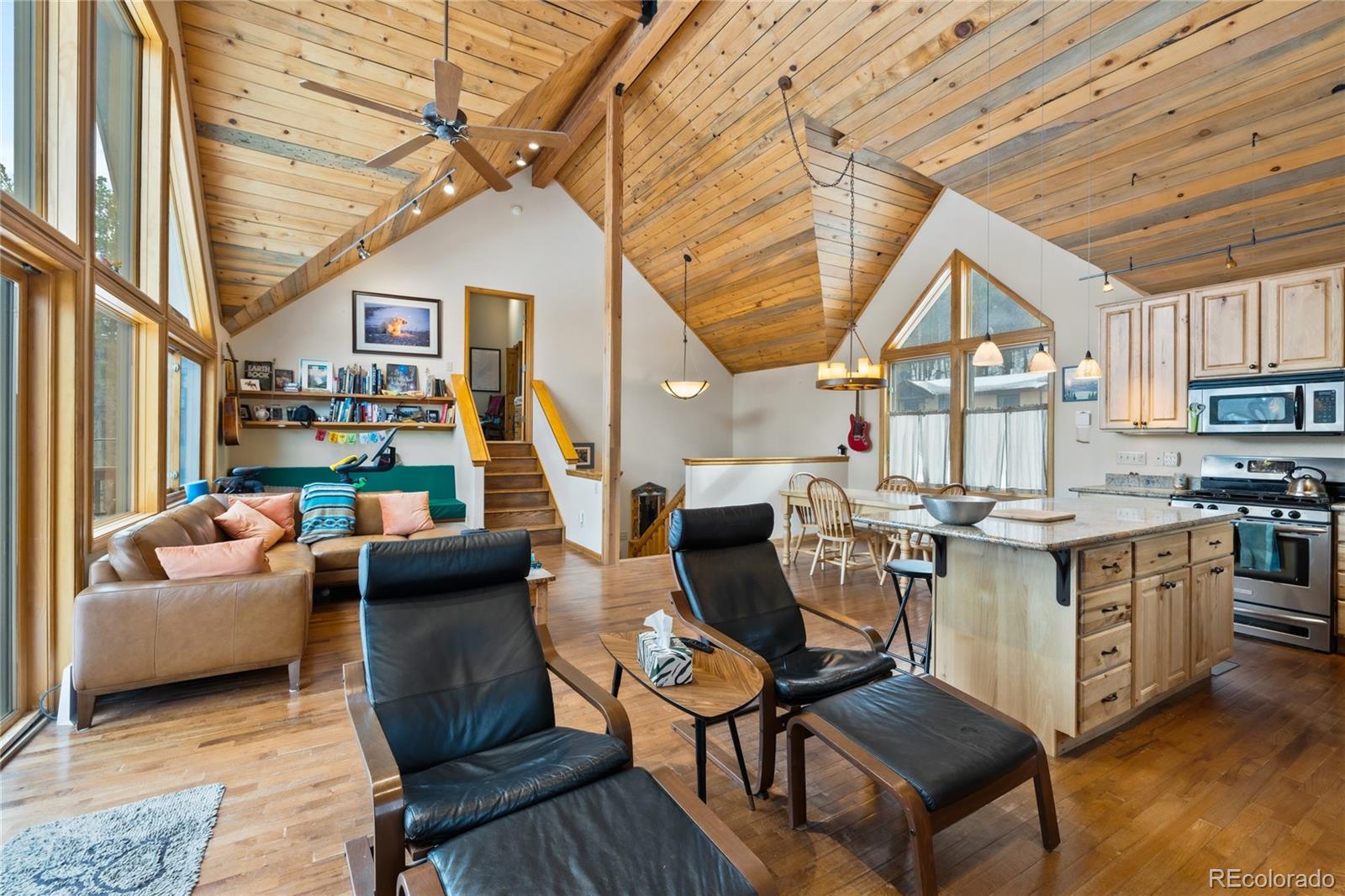 MLS Image #5 for 325  county road 19 ,leadville, Colorado