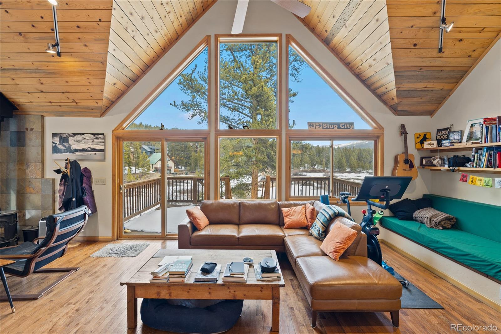 MLS Image #6 for 325  county road 19 ,leadville, Colorado
