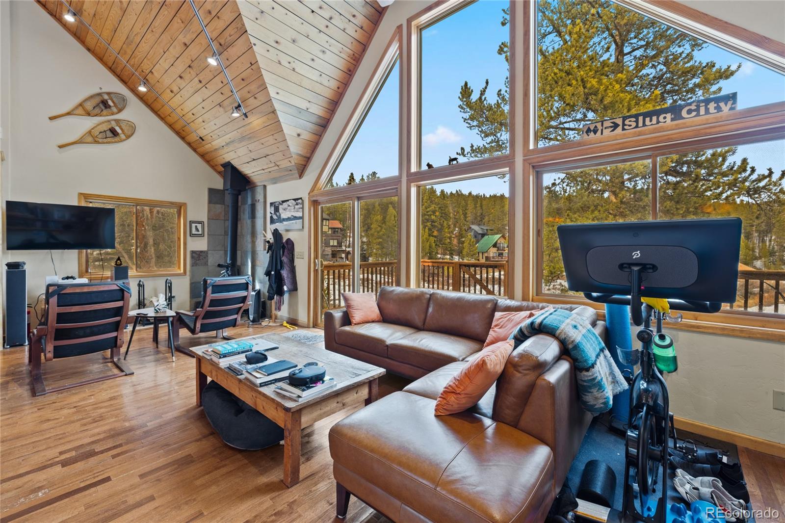 MLS Image #7 for 325  county road 19 ,leadville, Colorado