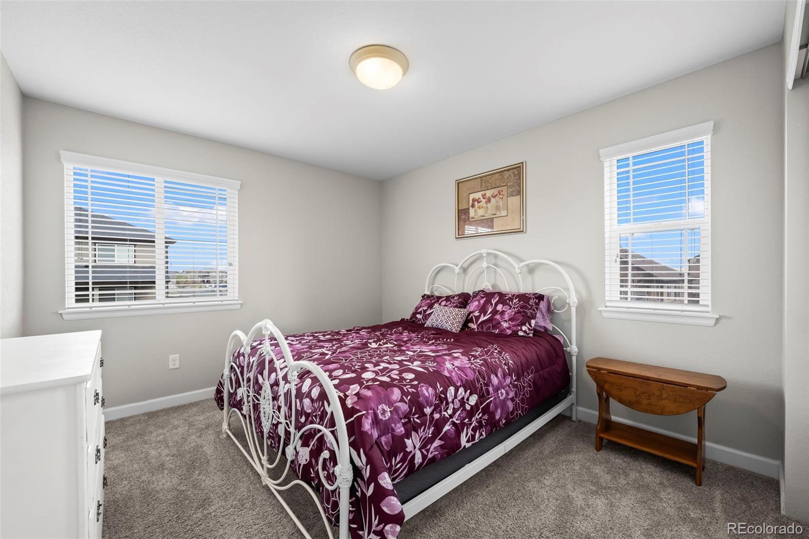 MLS Image #17 for 224 s jackson gap way,aurora, Colorado