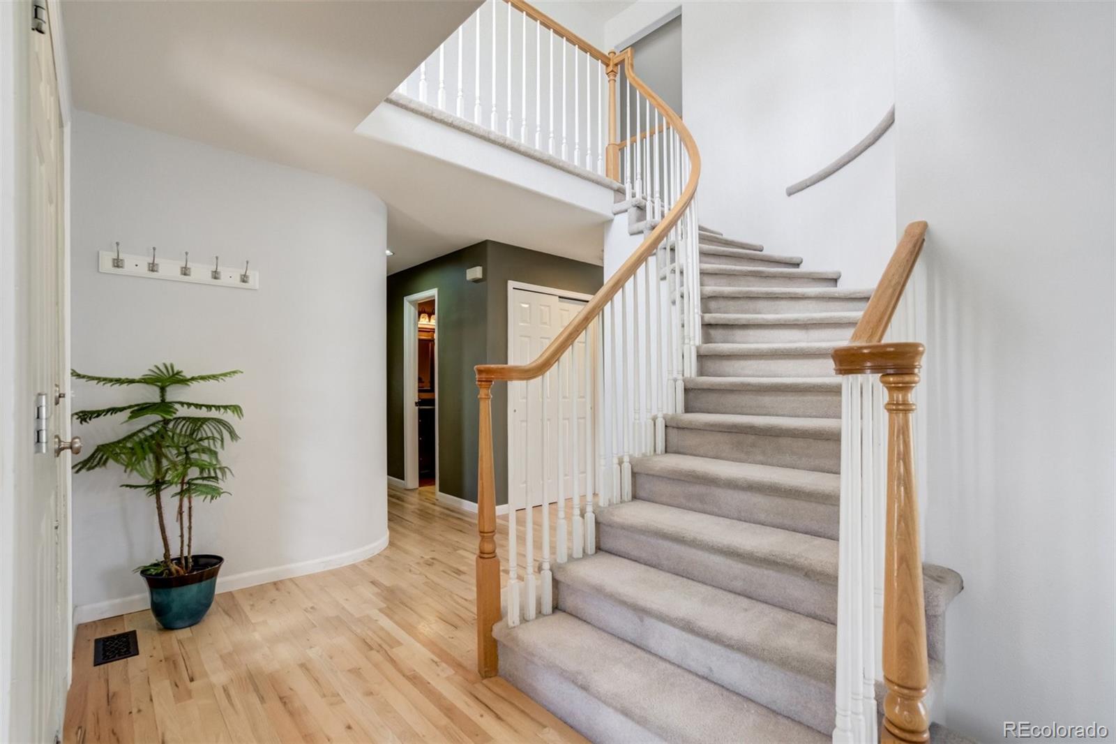 MLS Image #3 for 1330  owl ridge drive,colorado springs, Colorado