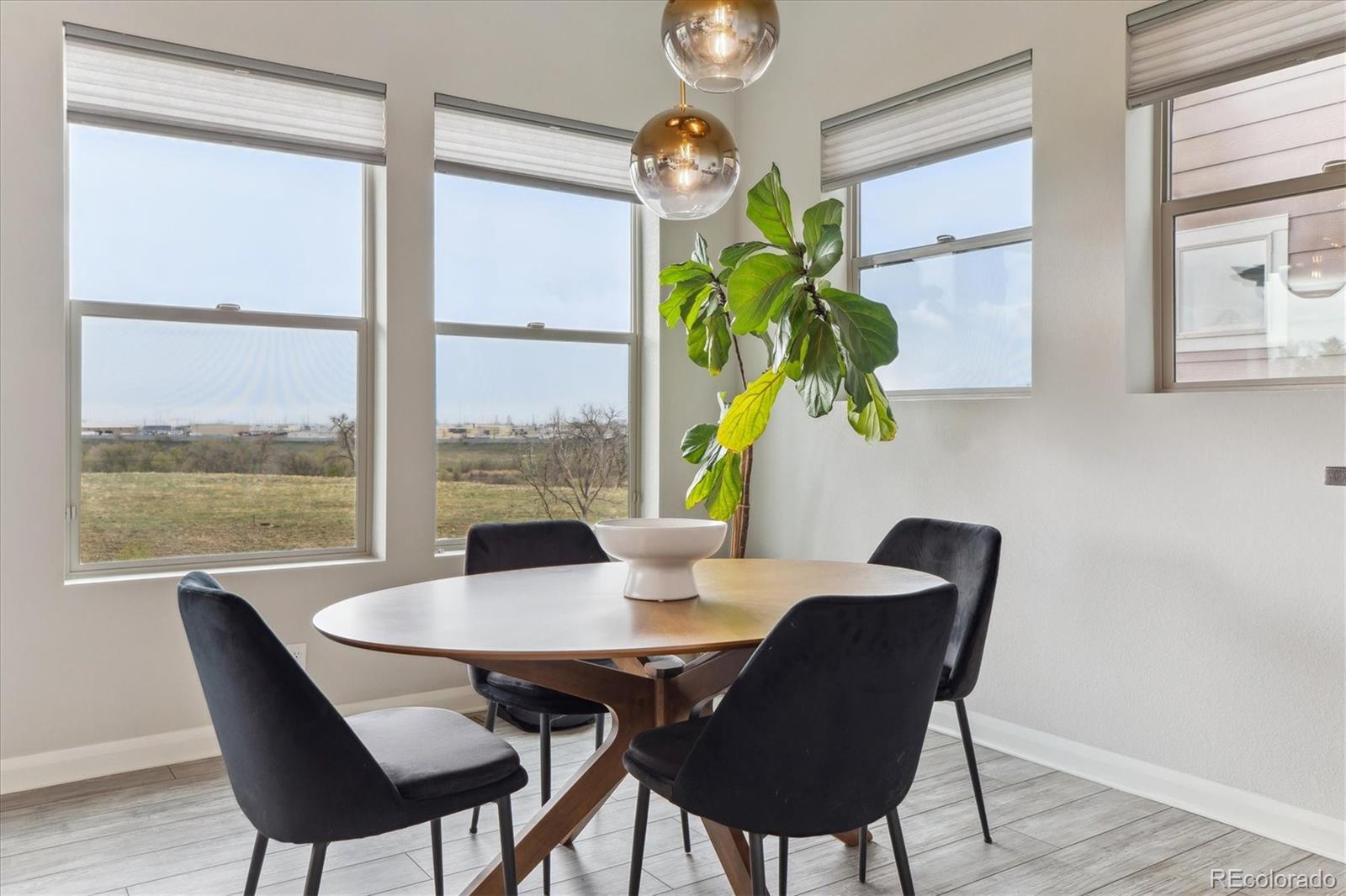 MLS Image #15 for 6752  mariposa ,denver, Colorado